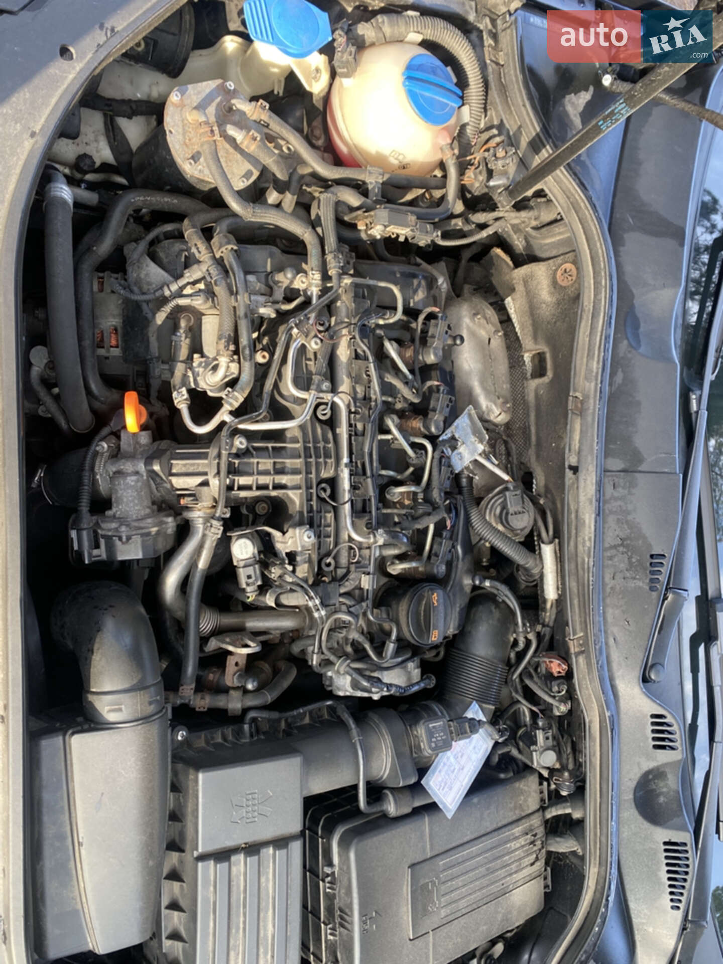 Volkswagen Passat 2011 VIN WVWZZZ3CZBE382169 фото оголошення 13 з 25