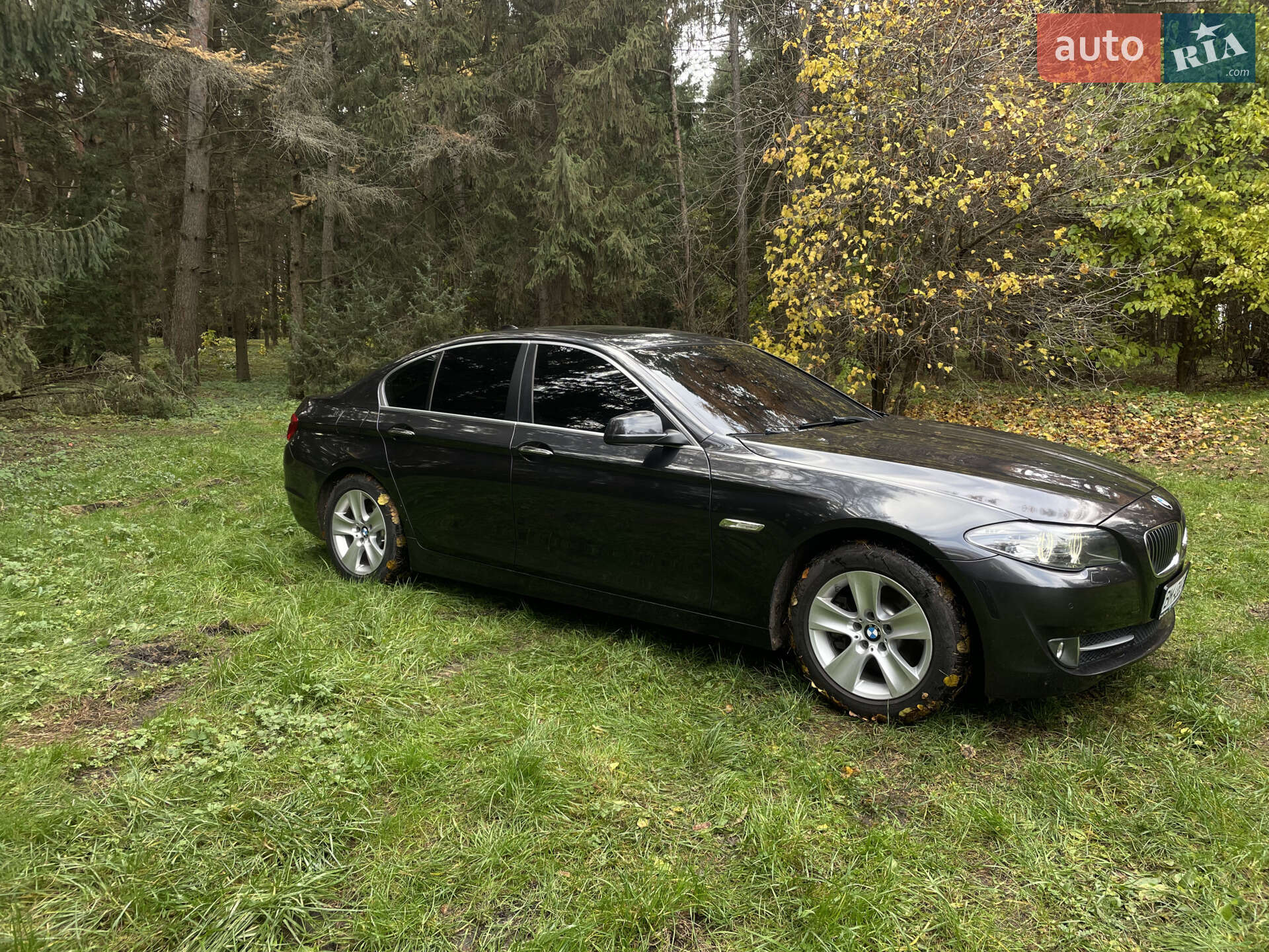 BMW 5 Series 2013 VIN WBAXG5C59DD230405 фото оголошення 8 з 22