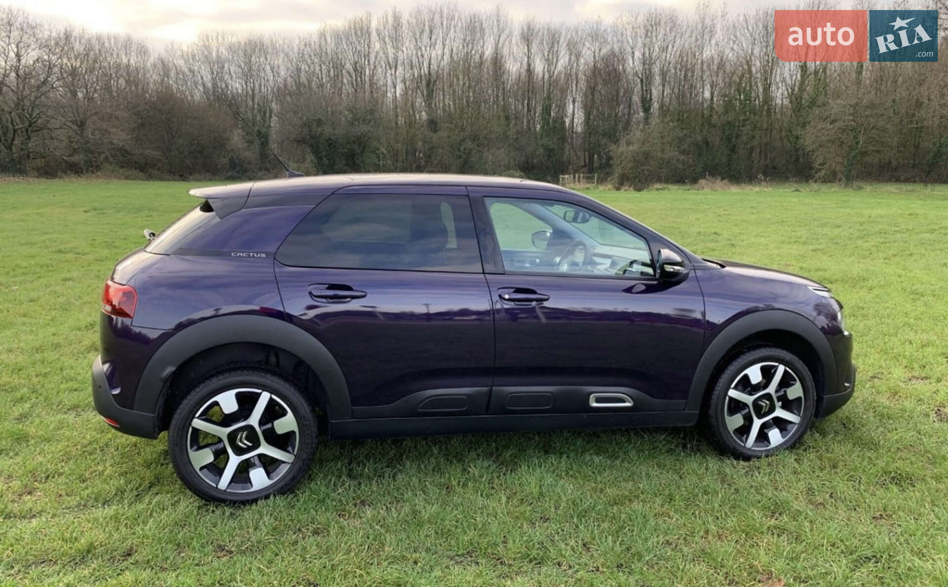 Citroen C4 Cactus 2019 VIN VF70BYHXXKE503923 фото оголошення 6 з 10