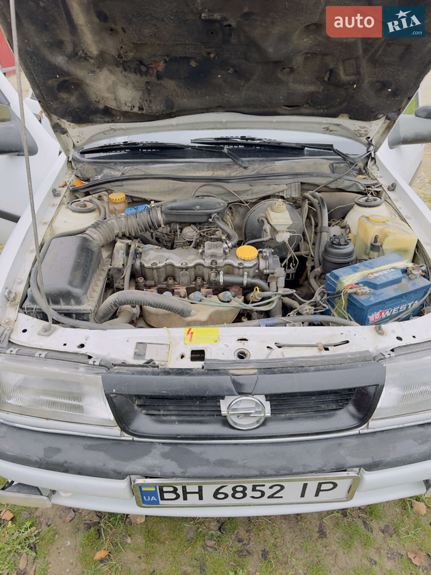 Opel Vectra 1995 VIN W0L000087S1192223 фото оголошення 21 з 23