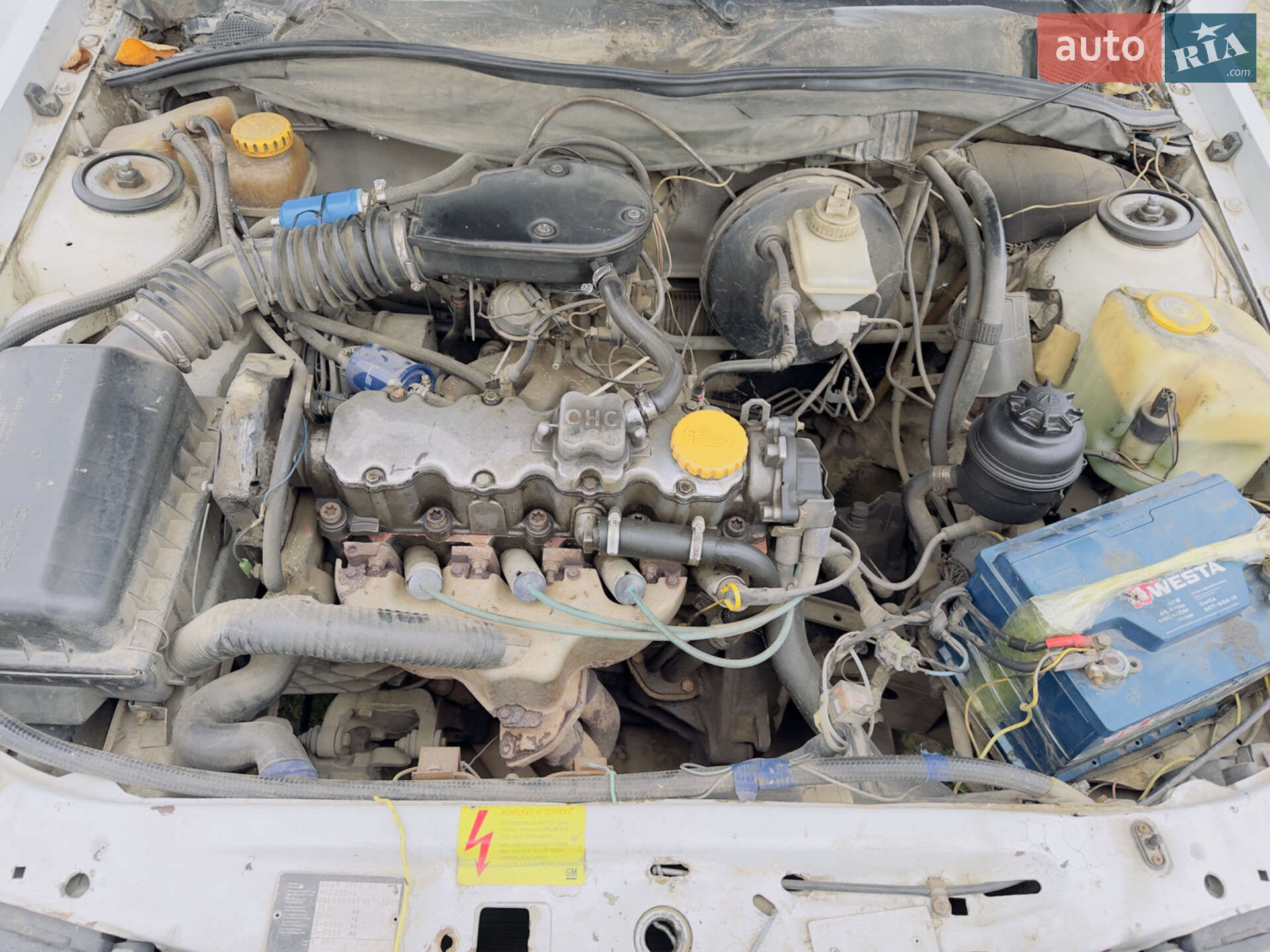 Opel Vectra 1995 VIN W0L000087S1192223 фото оголошення 20 з 23