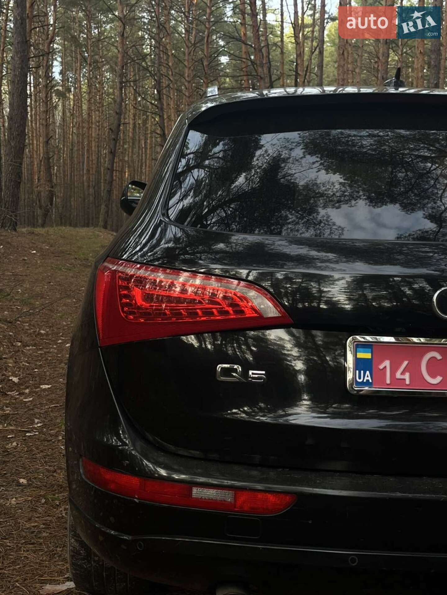 Audi Q5 2012 VIN WA1LFAFP0CA099448 фото оголошення 20 з 45