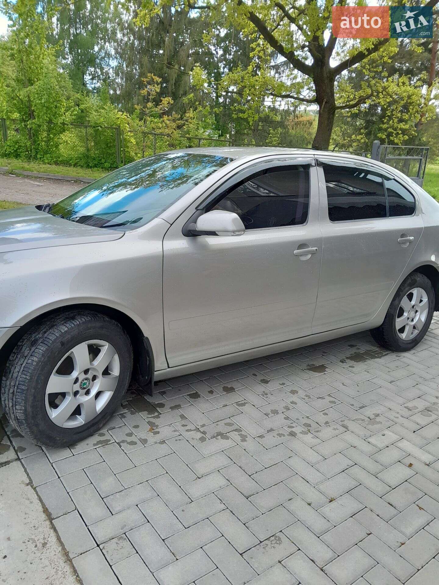 Skoda Octavia 2007 VIN TMBBA21Z582099509 фото оголошення 3 з 19