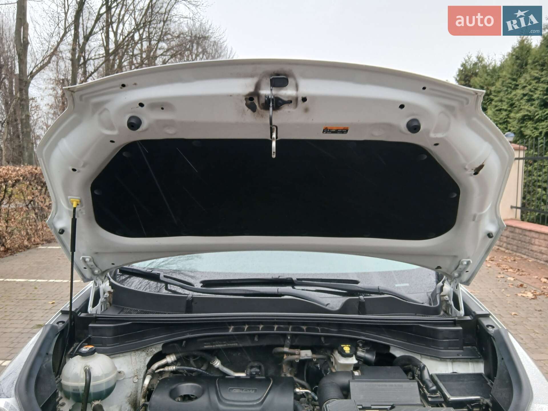 Kia Sportage 2021 VIN U5YPG814AML046483 фото оголошення 42 з 43