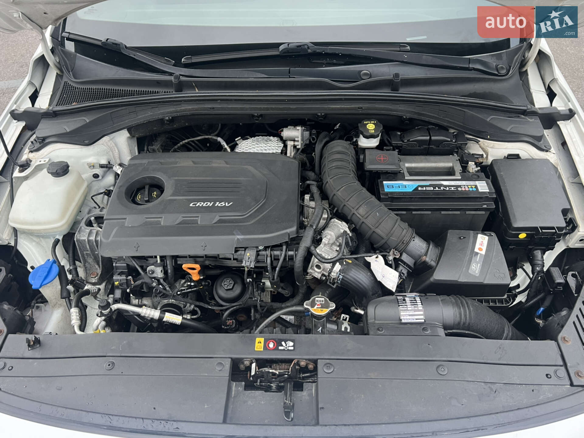 Hyundai i30 2018 VIN TMAH3817AJJ031190 фото оголошення 30 з 31