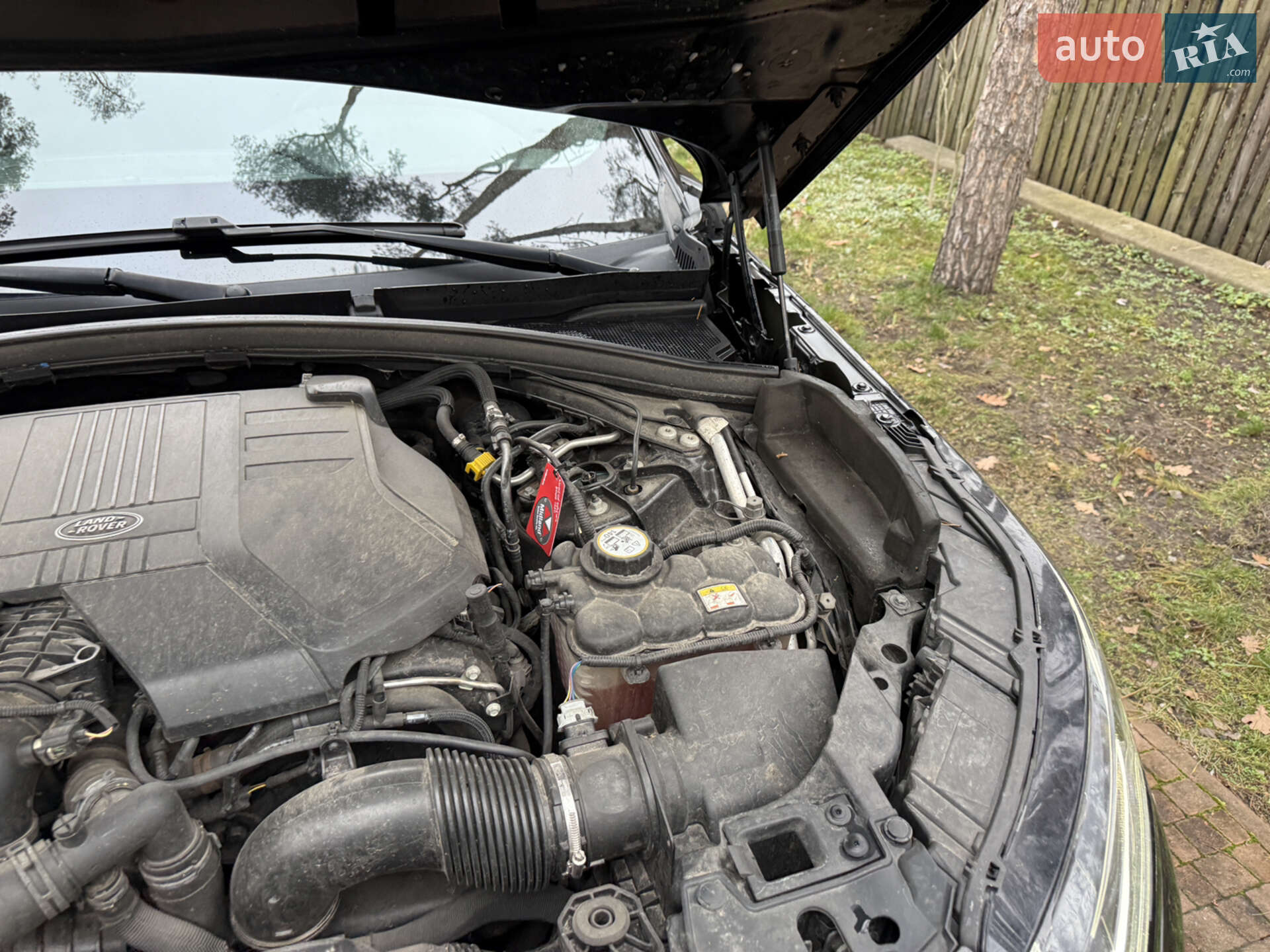 Land Rover Range Rover Velar 2019 VIN SALYA2BK4LA251203 фото оголошення 139 з 142