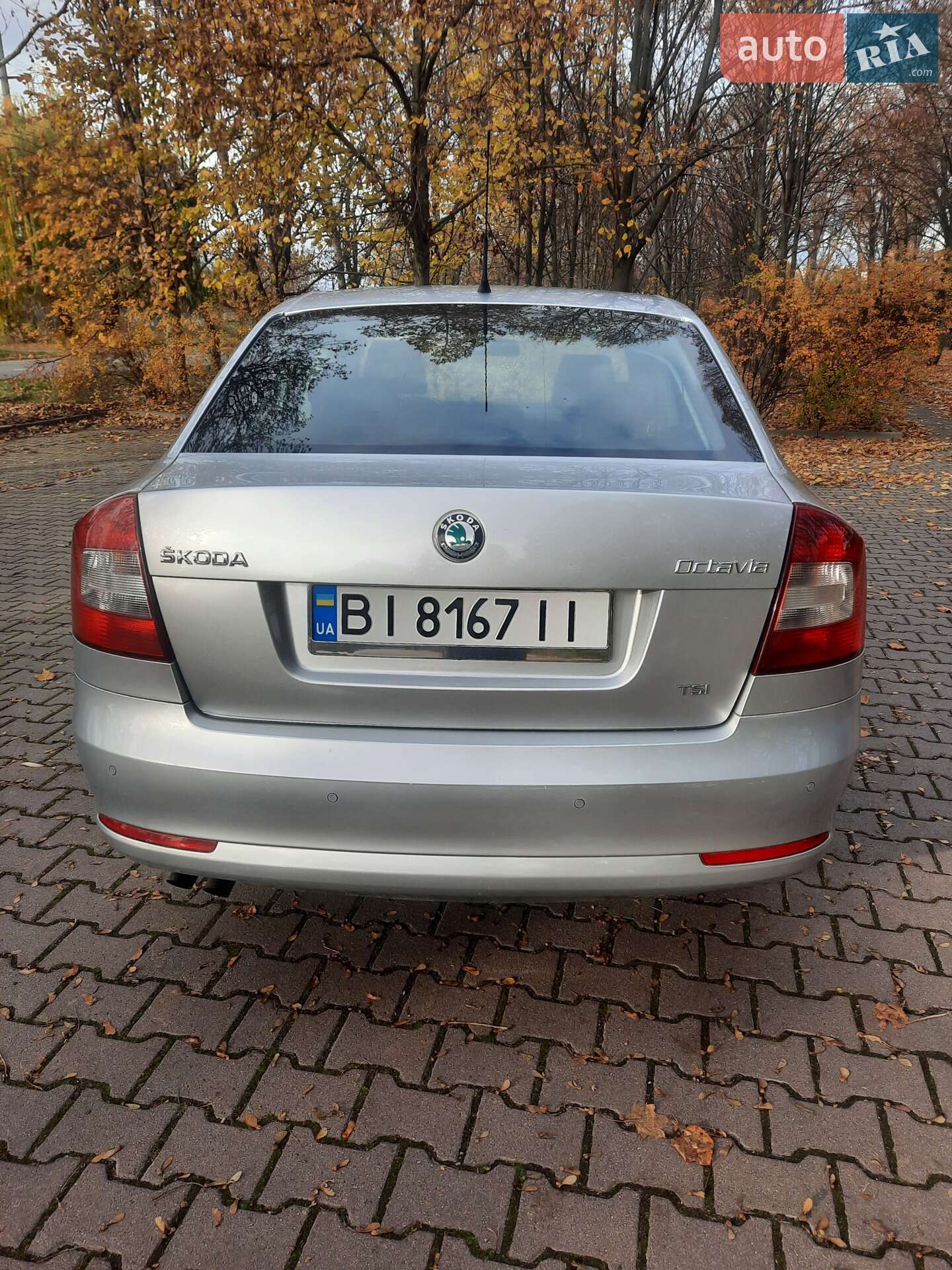 Skoda Octavia 2009 VIN TMBBJ61Z0A2034709 фото оголошення 4 з 15