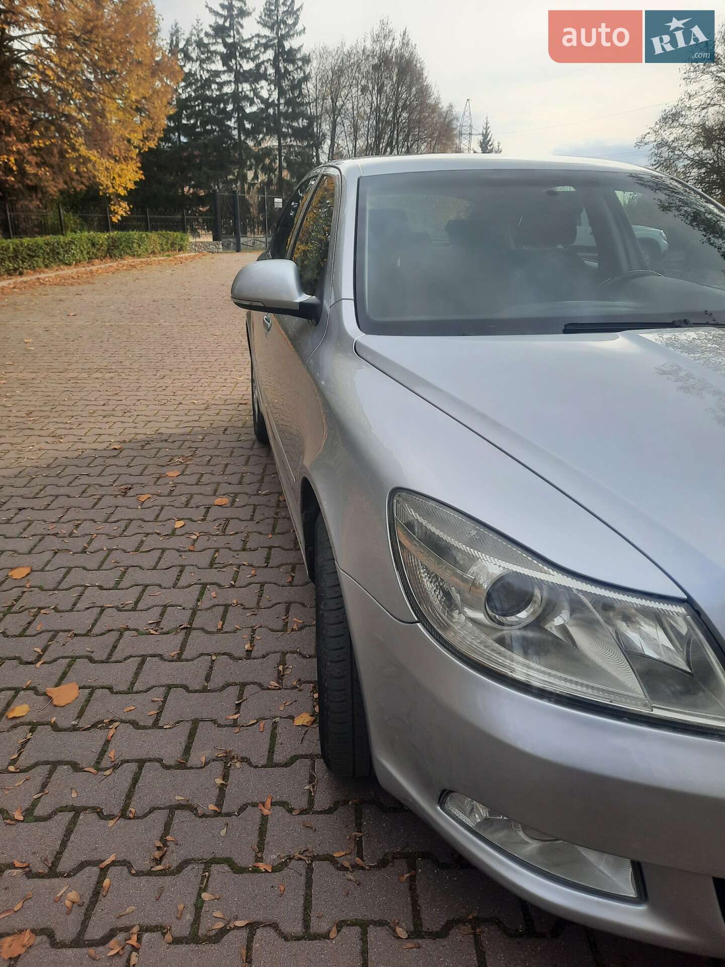Skoda Octavia 2009 VIN TMBBJ61Z0A2034709 фото оголошення 6 з 15
