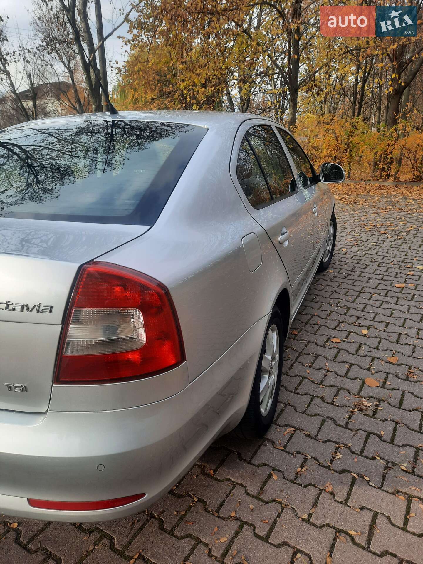 Skoda Octavia 2009 VIN TMBBJ61Z0A2034709 фото оголошення 5 з 15