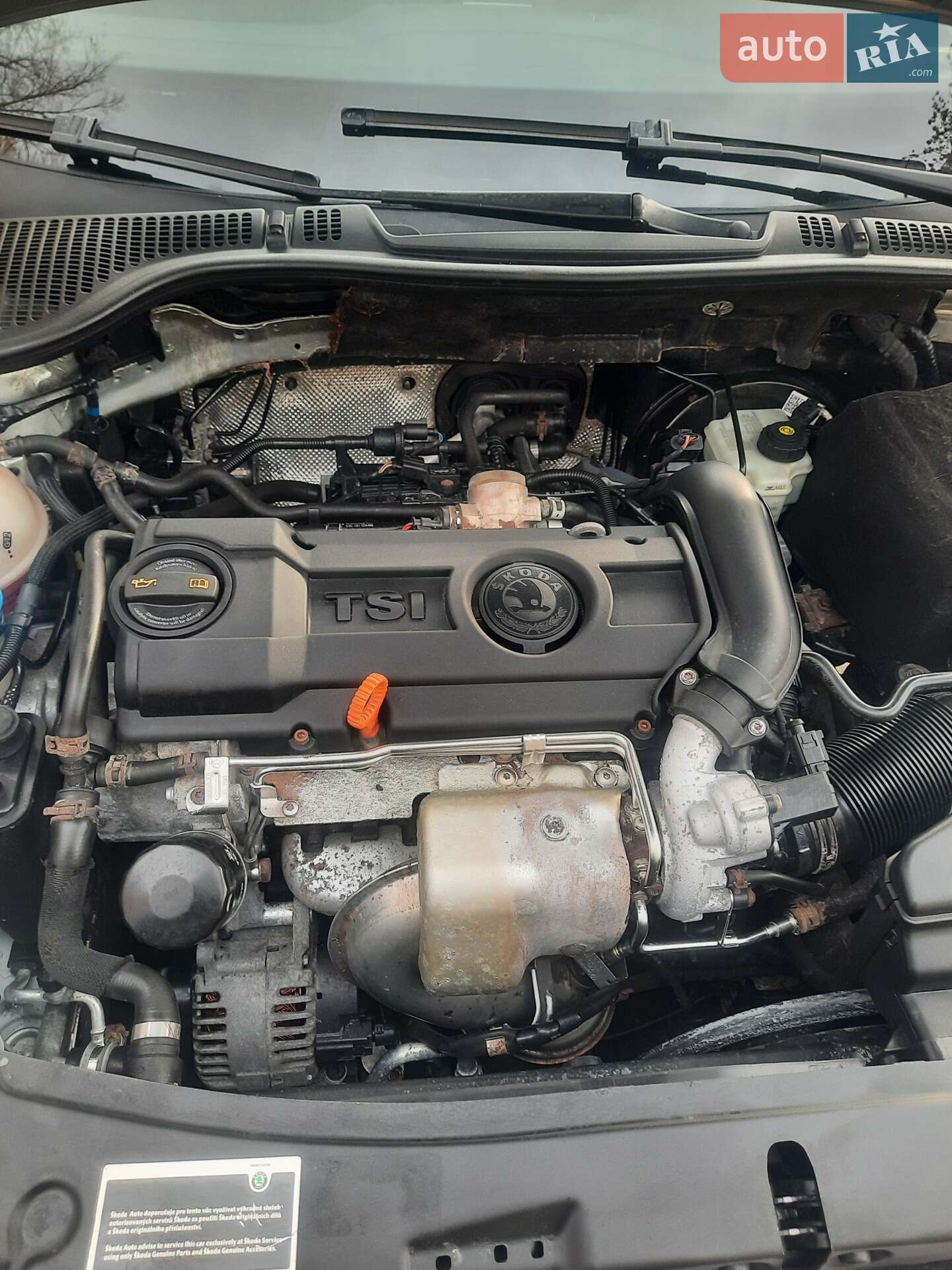Skoda Octavia 2009 VIN TMBBJ61Z0A2034709 фото оголошення 14 з 15