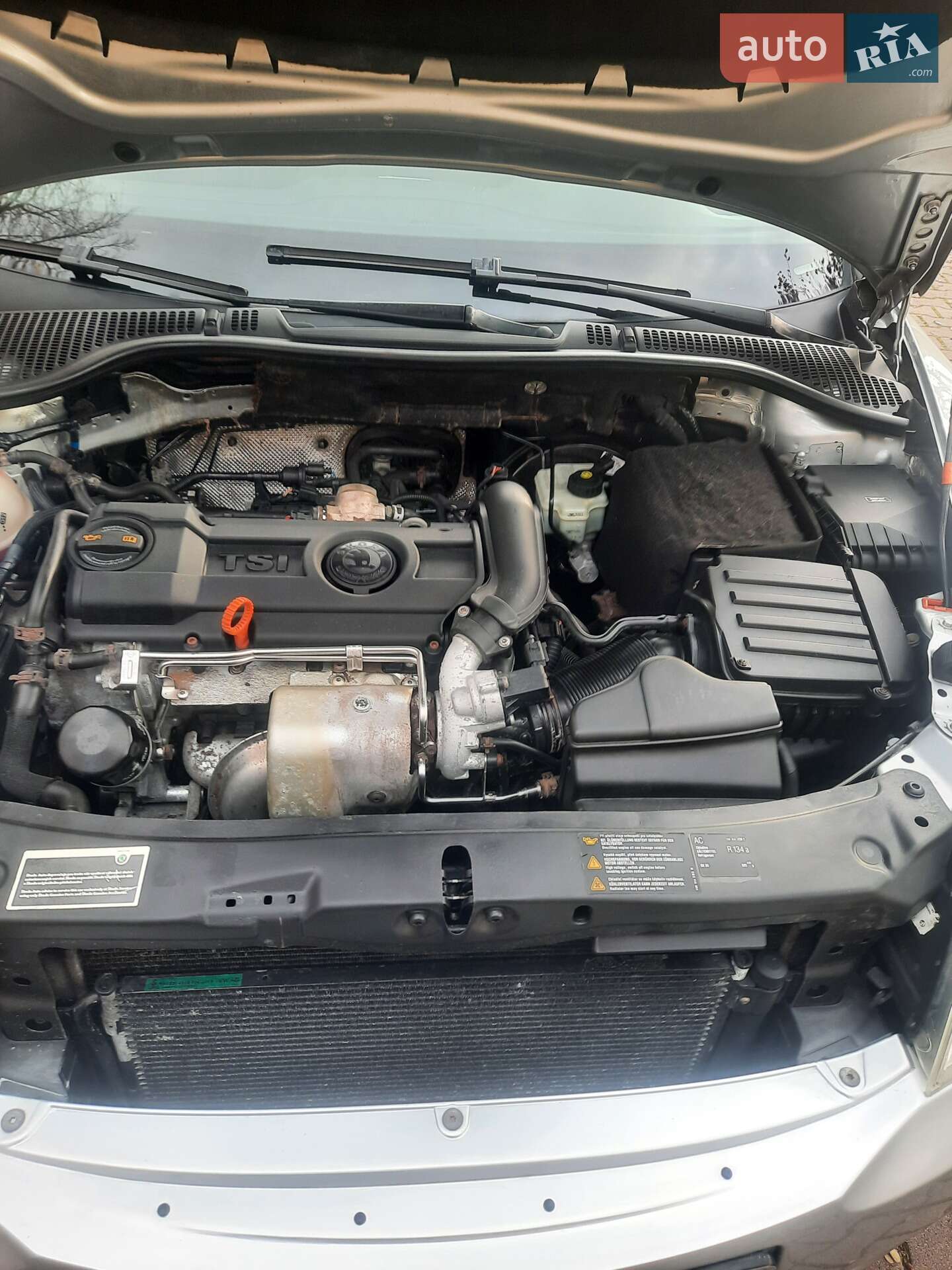 Skoda Octavia 2009 VIN TMBBJ61Z0A2034709 фото оголошення 15 з 15