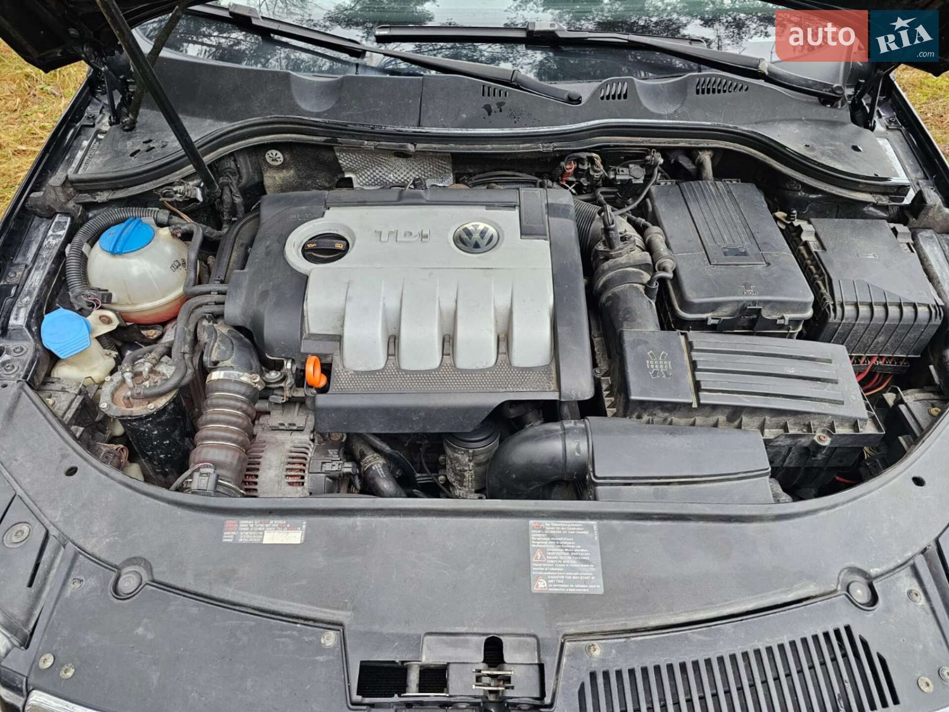 Volkswagen Passat 2006 VIN WVWZZZ3CZ7E137294 фото оголошення 10 з 28