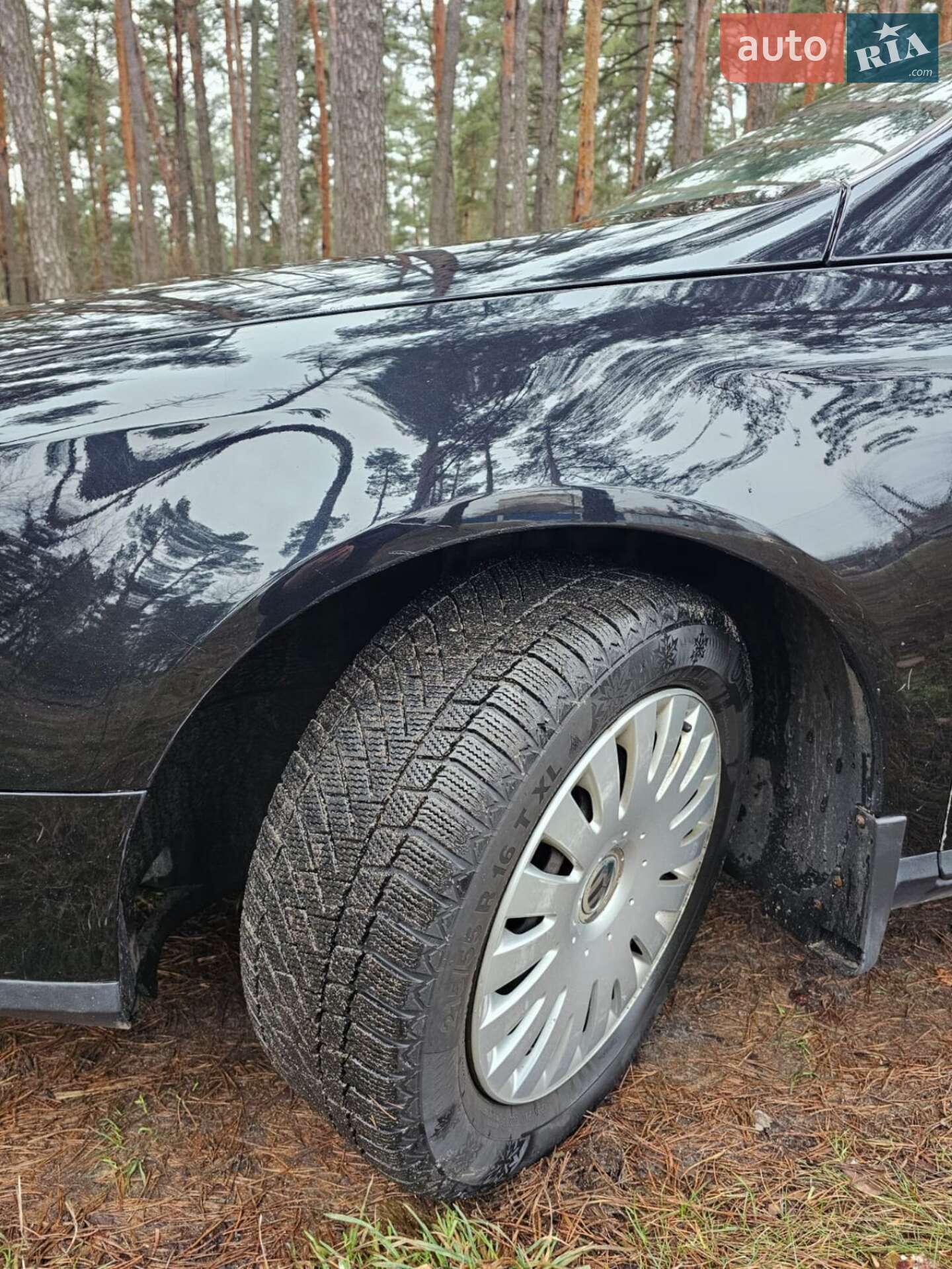 Volkswagen Passat 2006 VIN WVWZZZ3CZ7E137294 фото оголошення 12 з 28