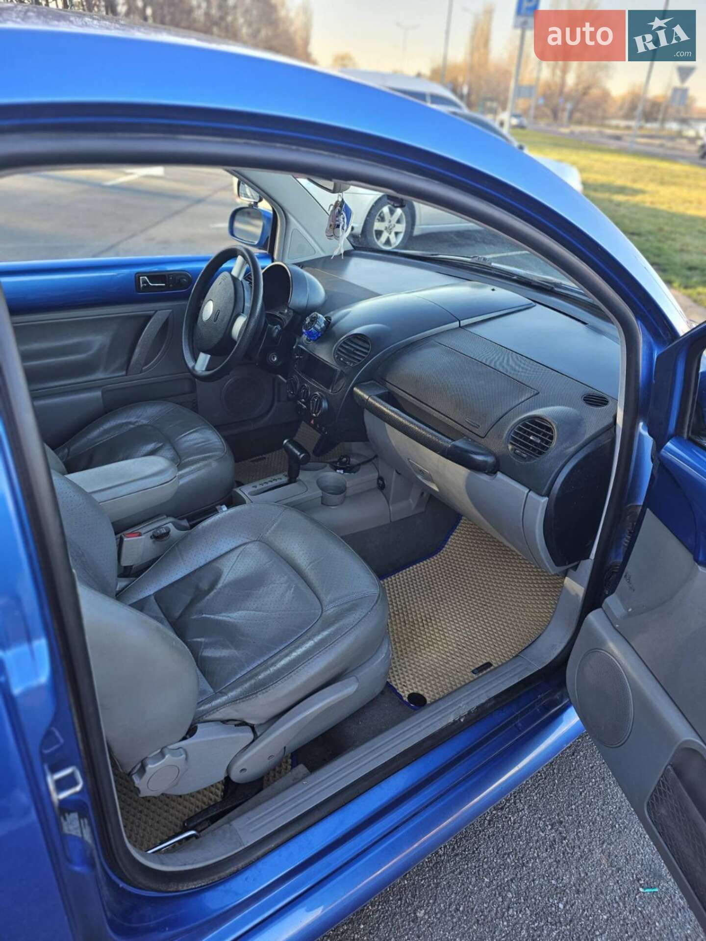 Volkswagen Beetle 2000 VIN 3VWCS21C31M417958 фото оголошення 2 з 11