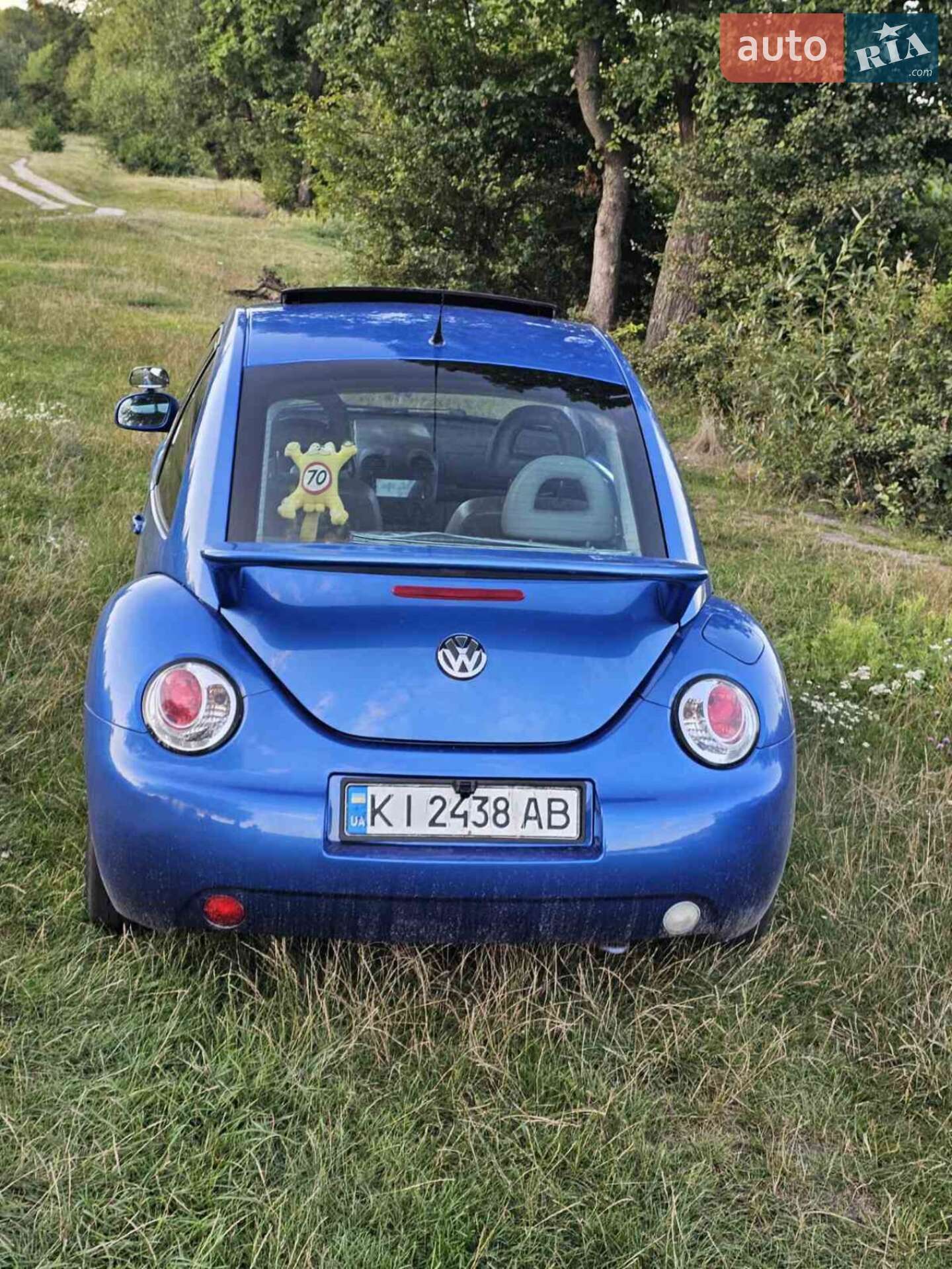Volkswagen Beetle 2000 VIN 3VWCS21C31M417958 фото оголошення 10 з 11
