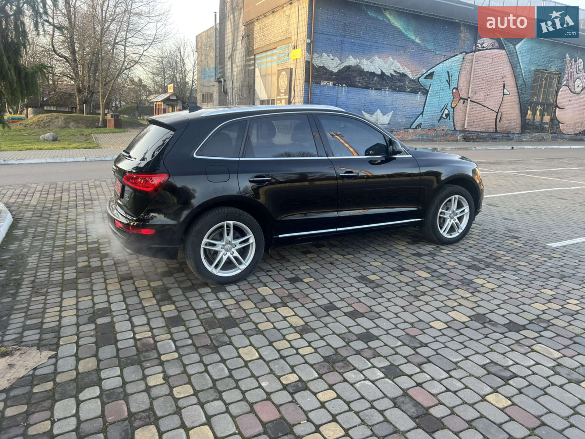 Audi Q5 2016 VIN WA1L2AFP0HA033596 фото оголошення 30 з 34