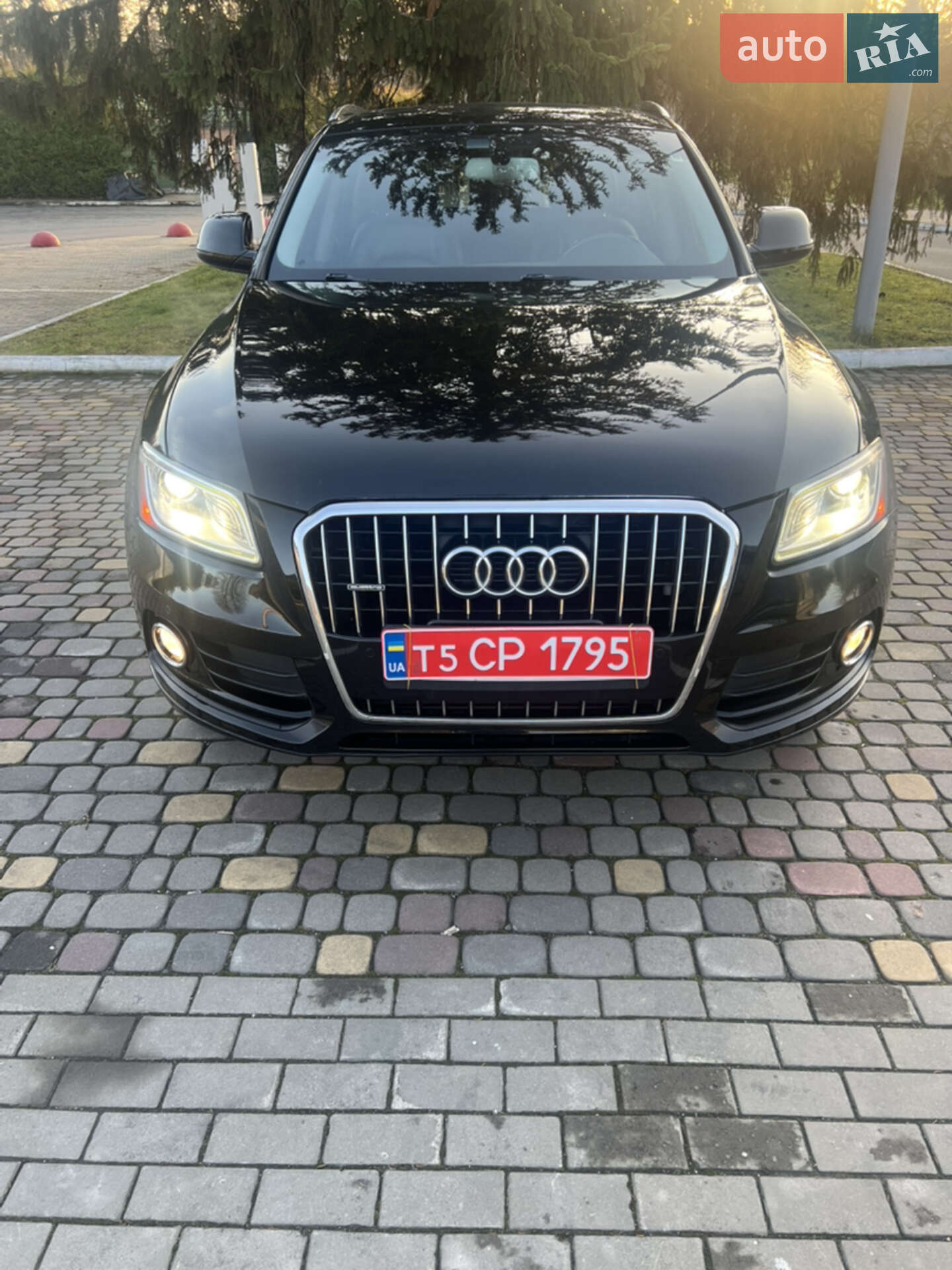 Audi Q5 2016 VIN WA1L2AFP0HA033596 фото оголошення 34 з 34