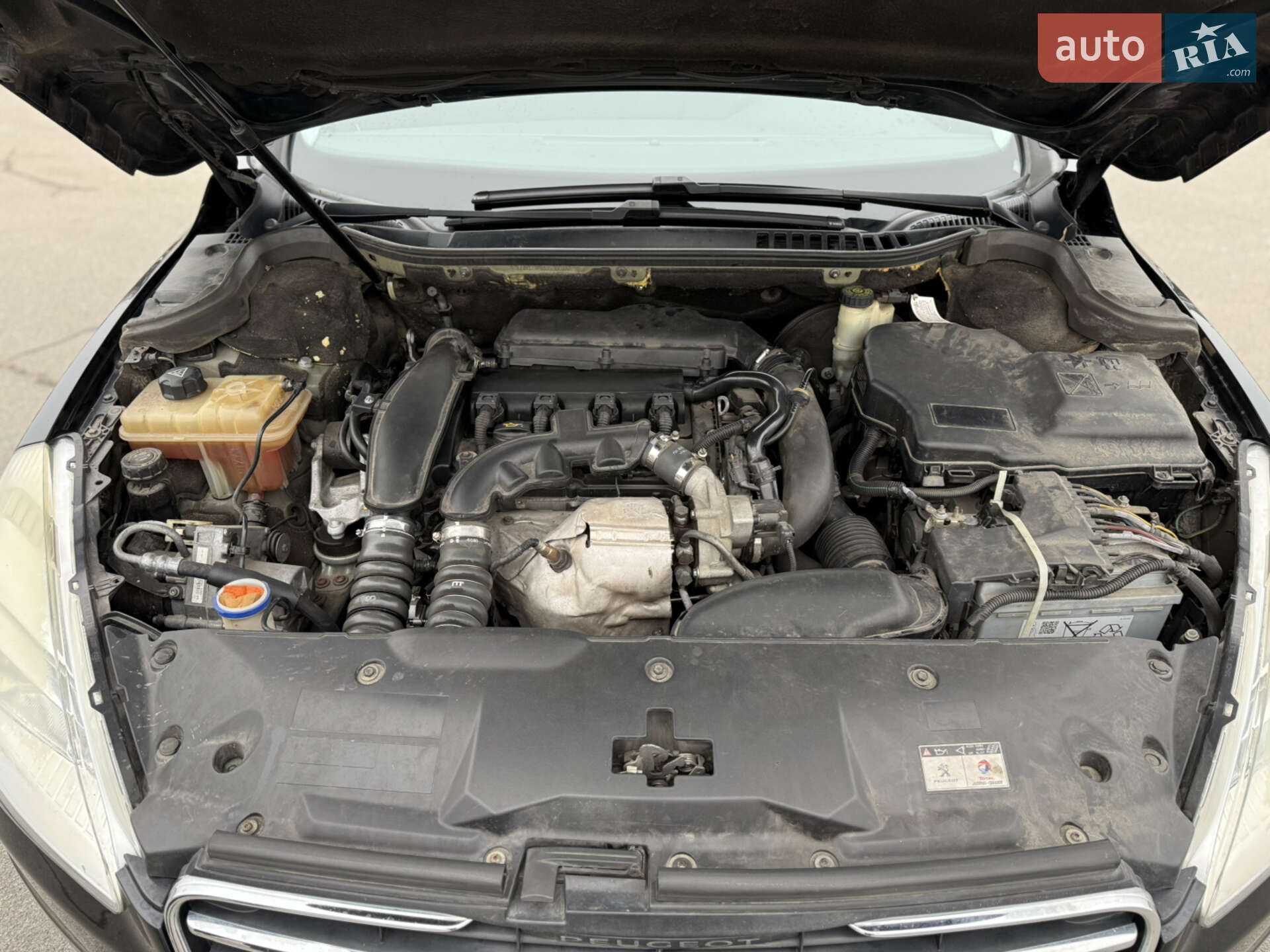 PEUGEOT PEUGEOT 508 2010 VIN VF38E5FV8AL027712 фото оголошення 14 з 14