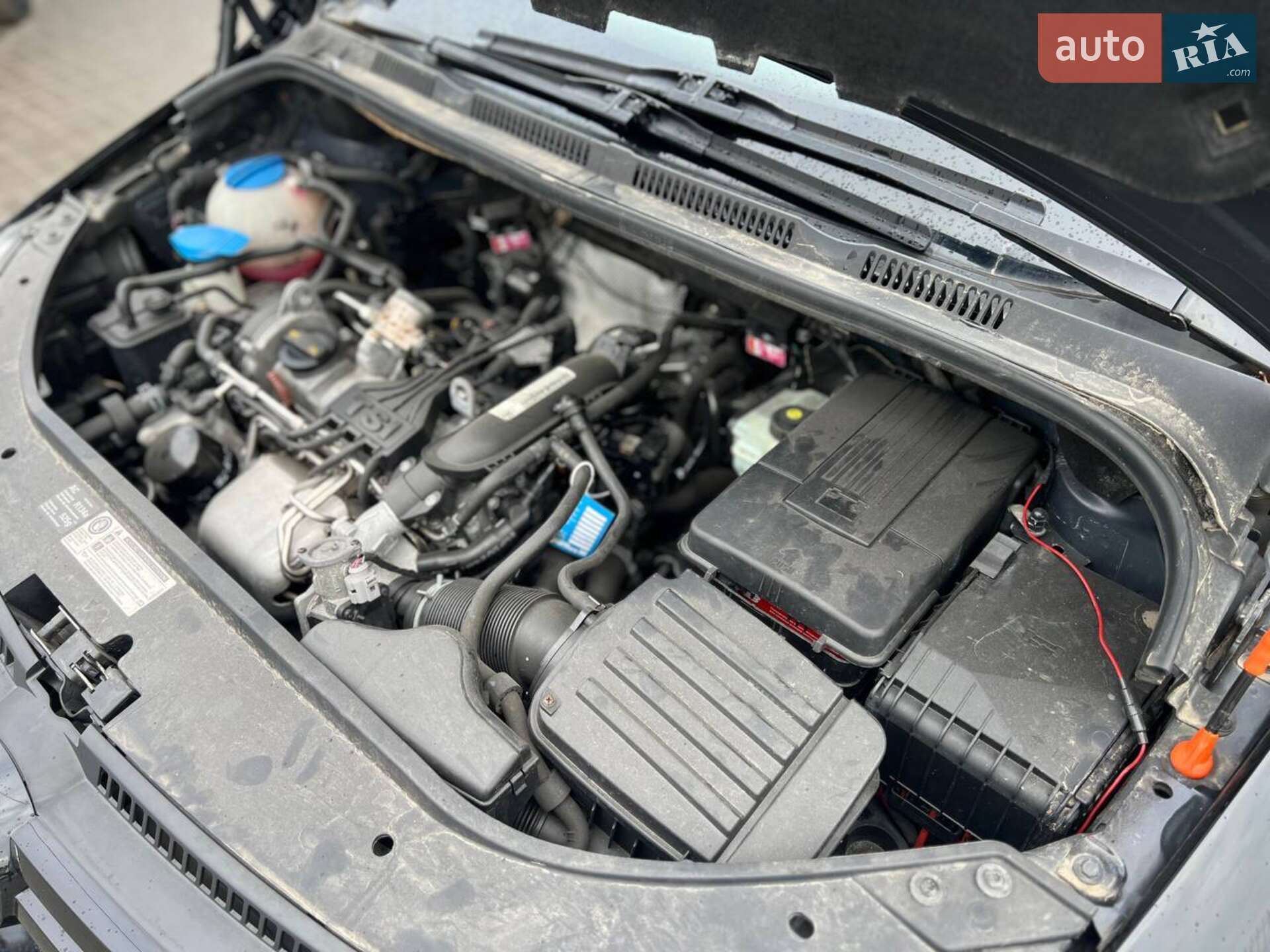 Volkswagen Golf Plus 2010 VIN WVWZZZ1KZBW530605 фото оголошення 36 з 37