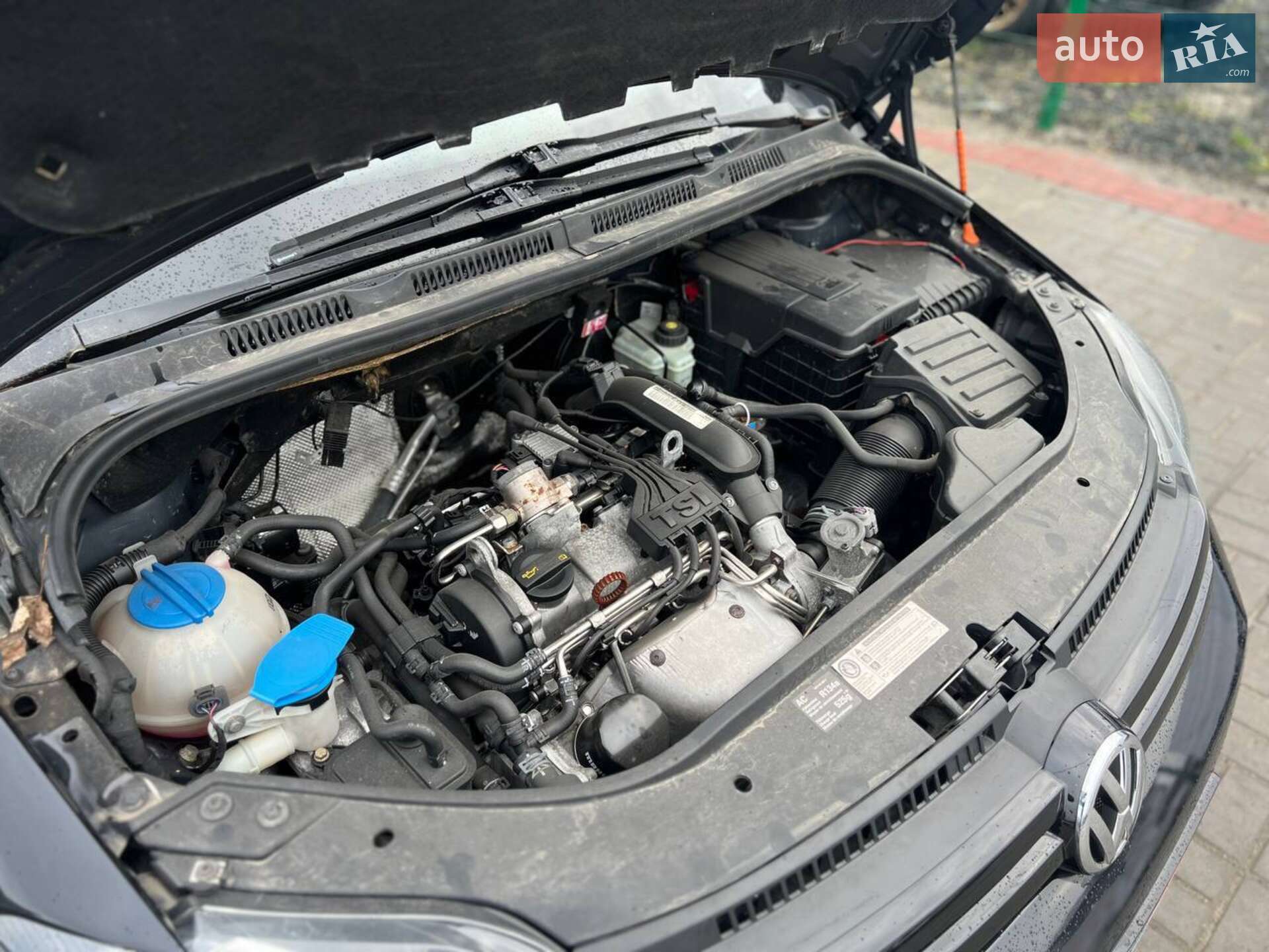 Volkswagen Golf Plus 2010 VIN WVWZZZ1KZBW530605 фото оголошення 37 з 37