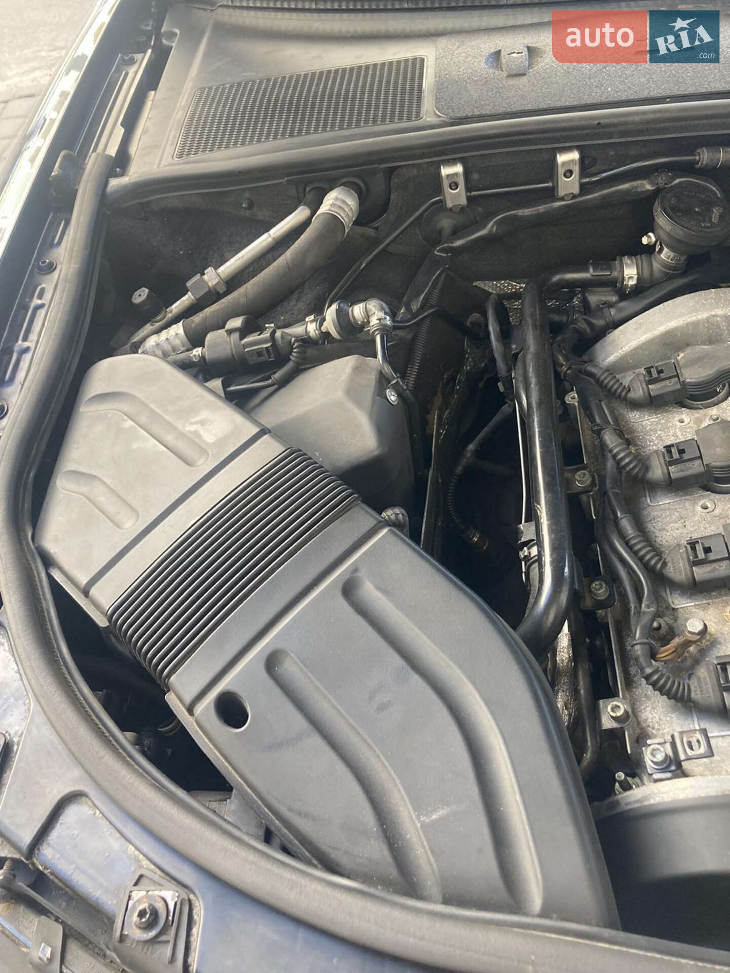 Audi A4 2002 VIN WAUZZZ8E13A195605 фото оголошення 17 з 26