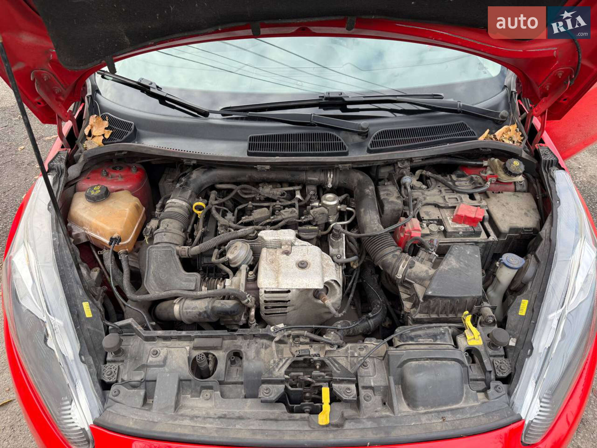 Ford Fiesta 2013 VIN WF0DXXGAKDDP33501 фото оголошення 18 з 25