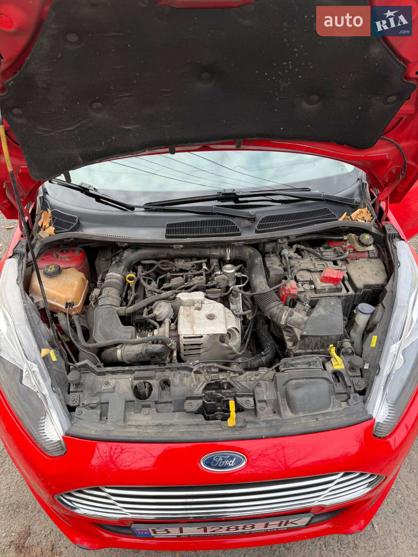 Ford Fiesta 2013 VIN WF0DXXGAKDDP33501 фото оголошення 19 з 25