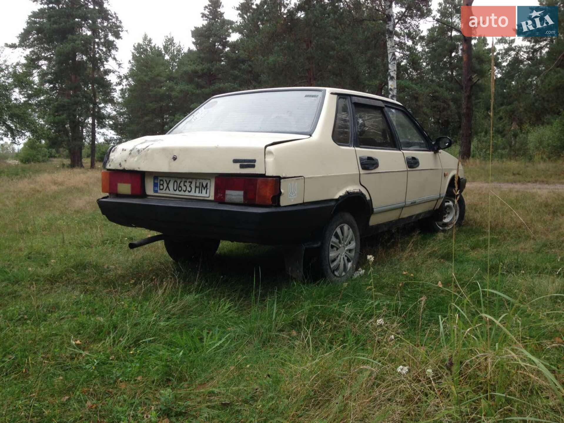 ВАЗ / Lada 21099 1995 VIN XTA210990T1775447 фото оголошення 3 з 10