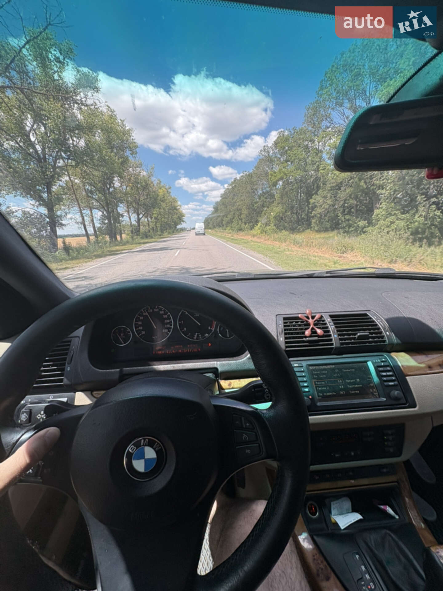 BMW X5 2003 VIN WBAFB710X0LV45307 фото оголошення 34 з 40