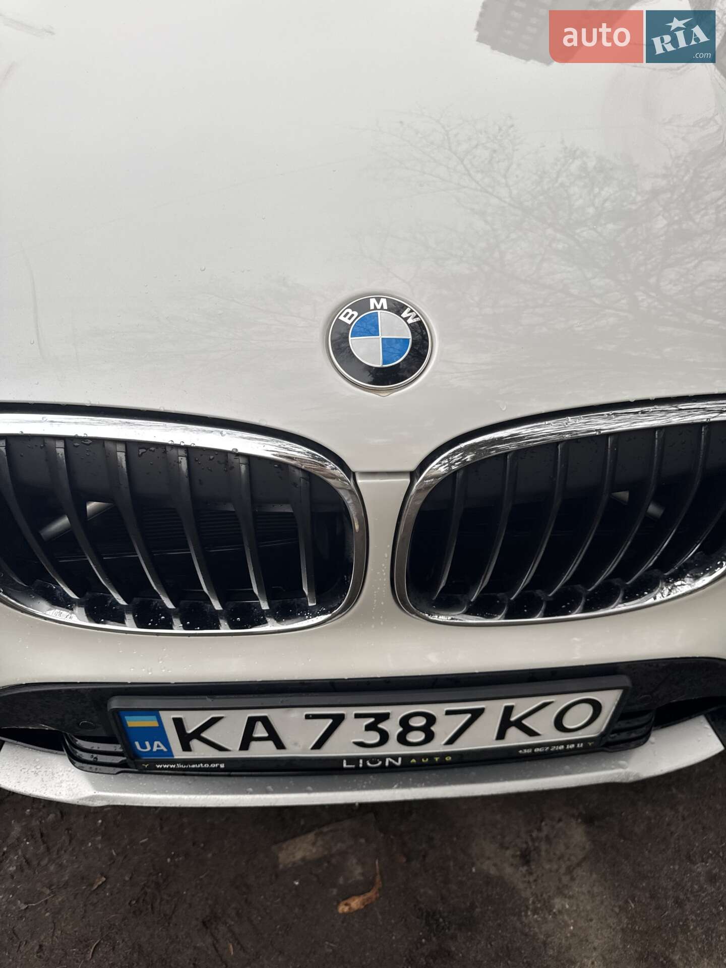 BMW X1 2017 VIN WBXHU7C35H5H36331 фото оголошення 18 з 20