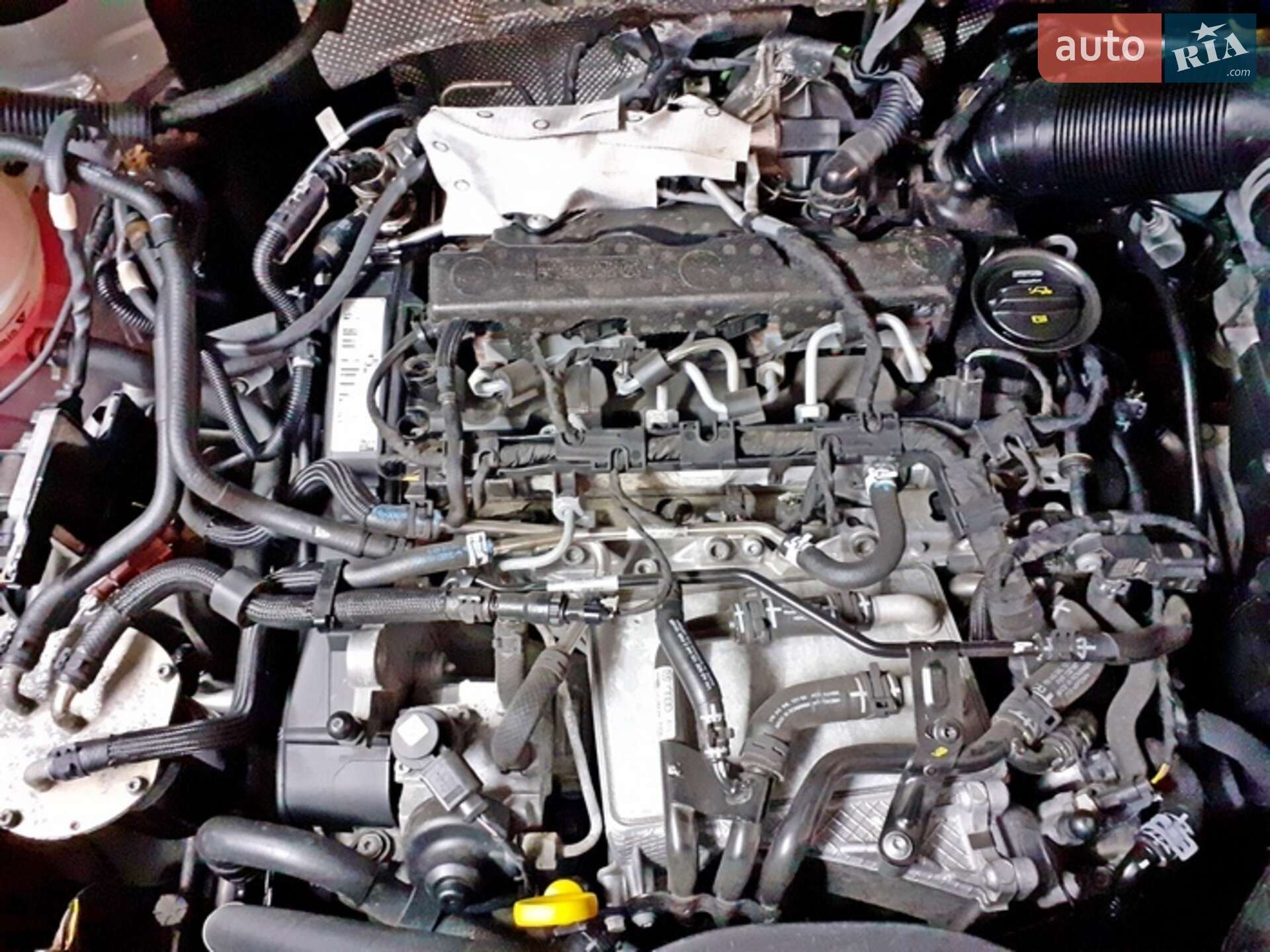 SEAT Alhambra 2016 VIN VSSZZZ7NZHV707525 фото оголошення 23 з 24