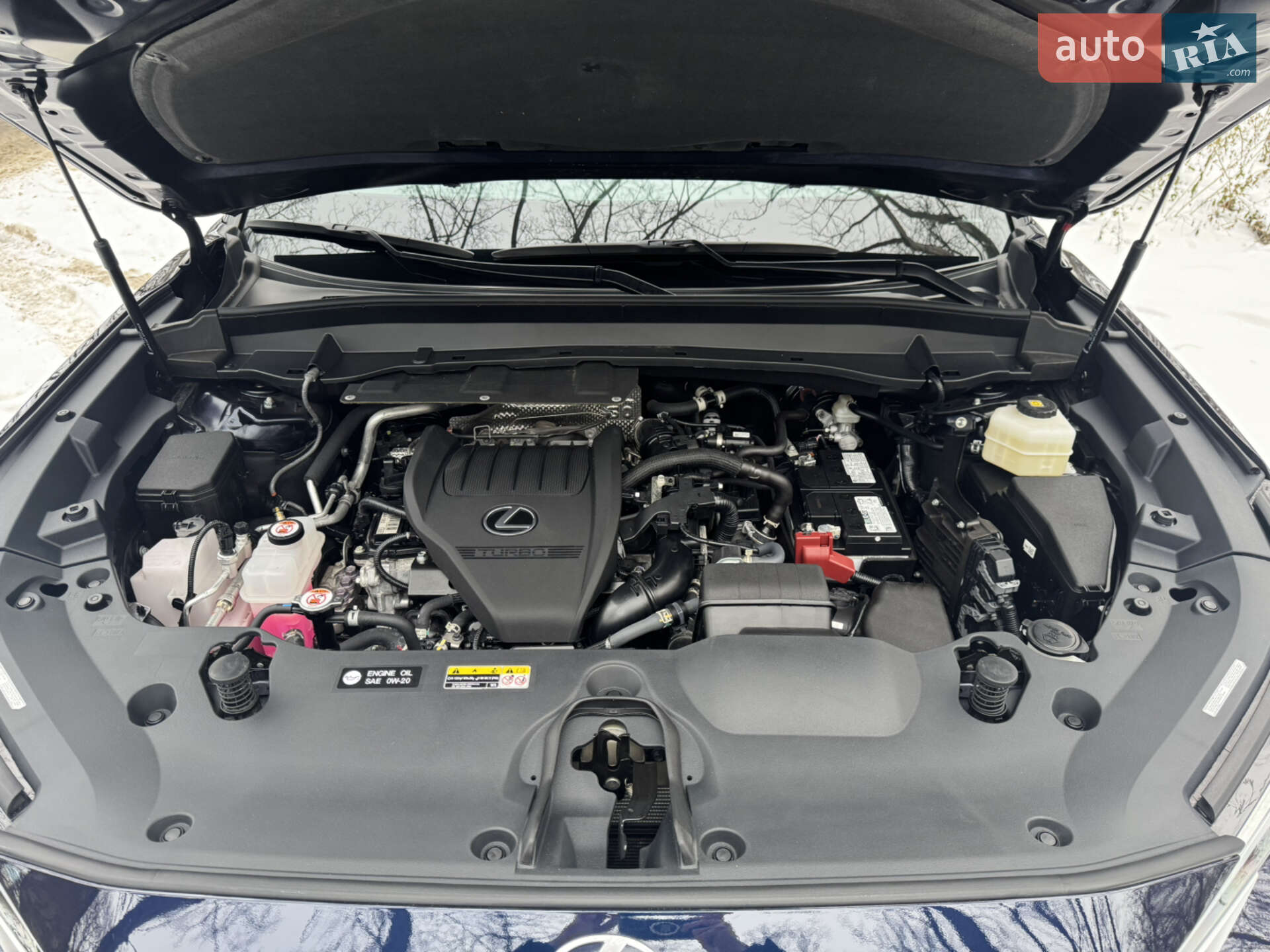 Lexus TX 2024 VIN 5TDAAAB61RS017652 фото оголошення 20 з 46