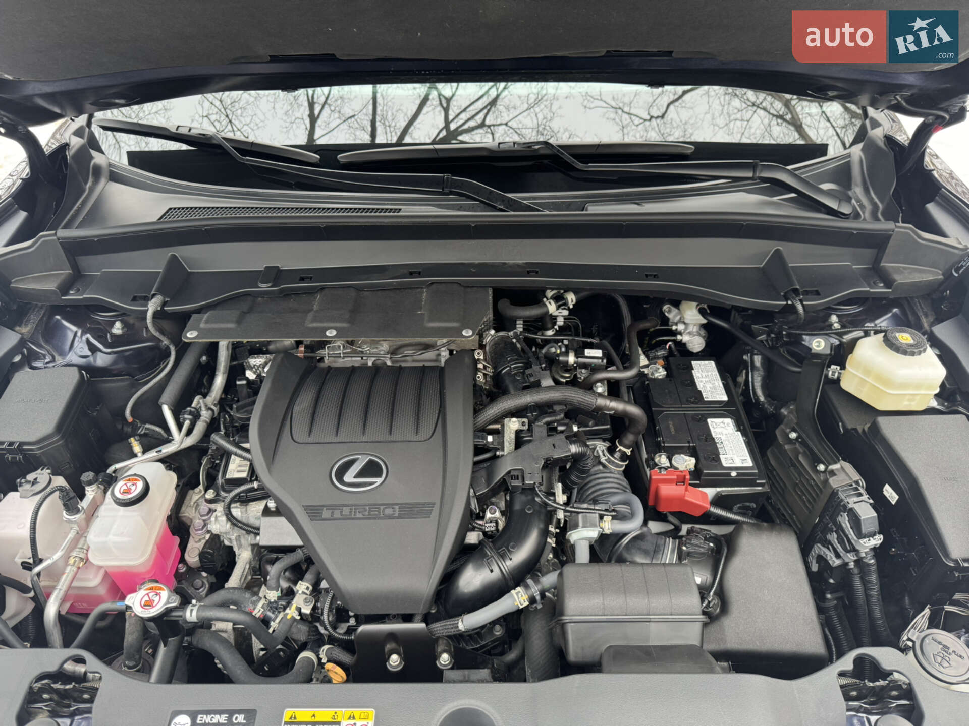 Lexus TX 2024 VIN 5TDAAAB61RS017652 фото оголошення 21 з 46