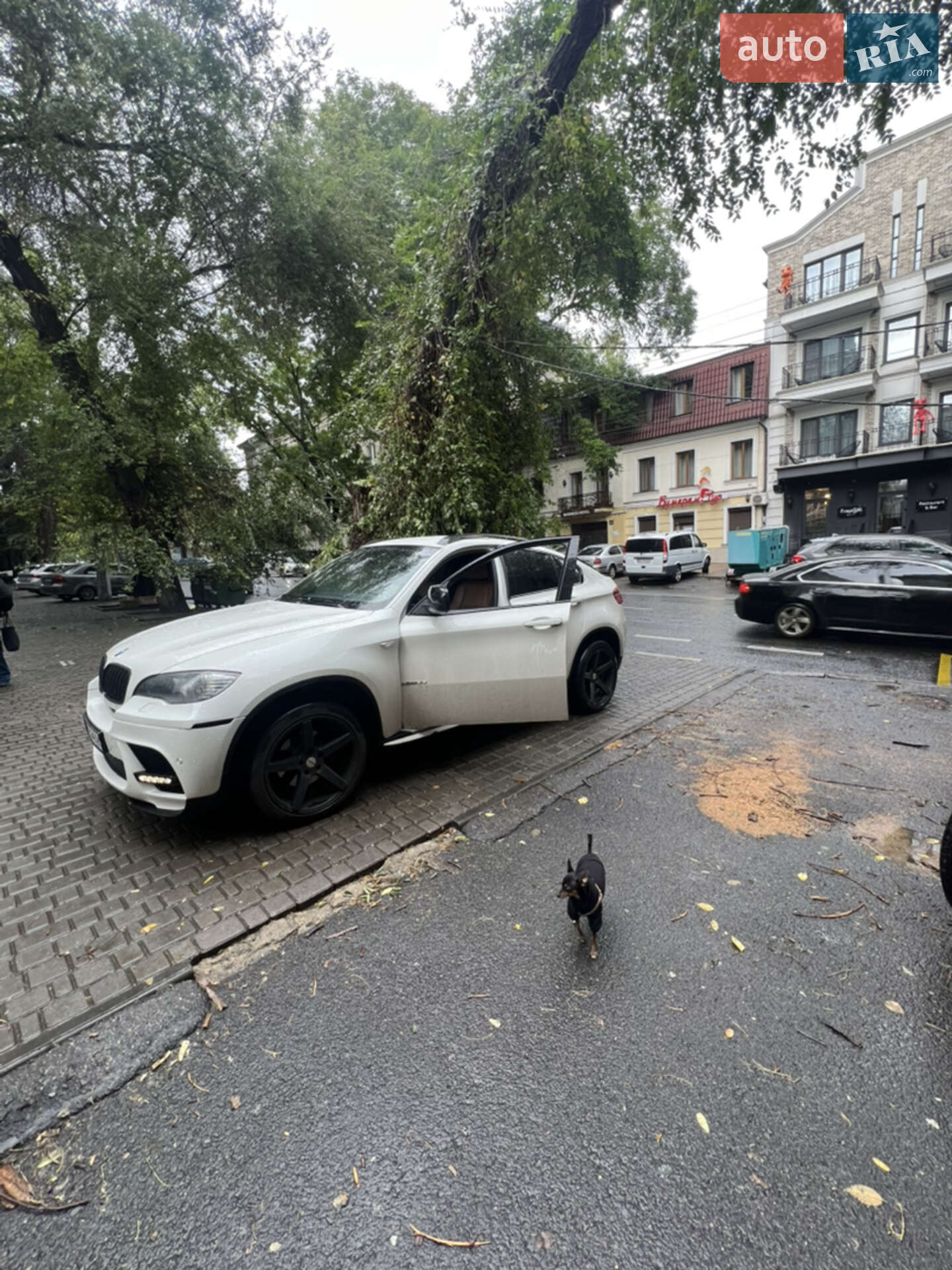 BMW X6 2011 VIN WBAFG21070L503861 фото оголошення 6 з 10