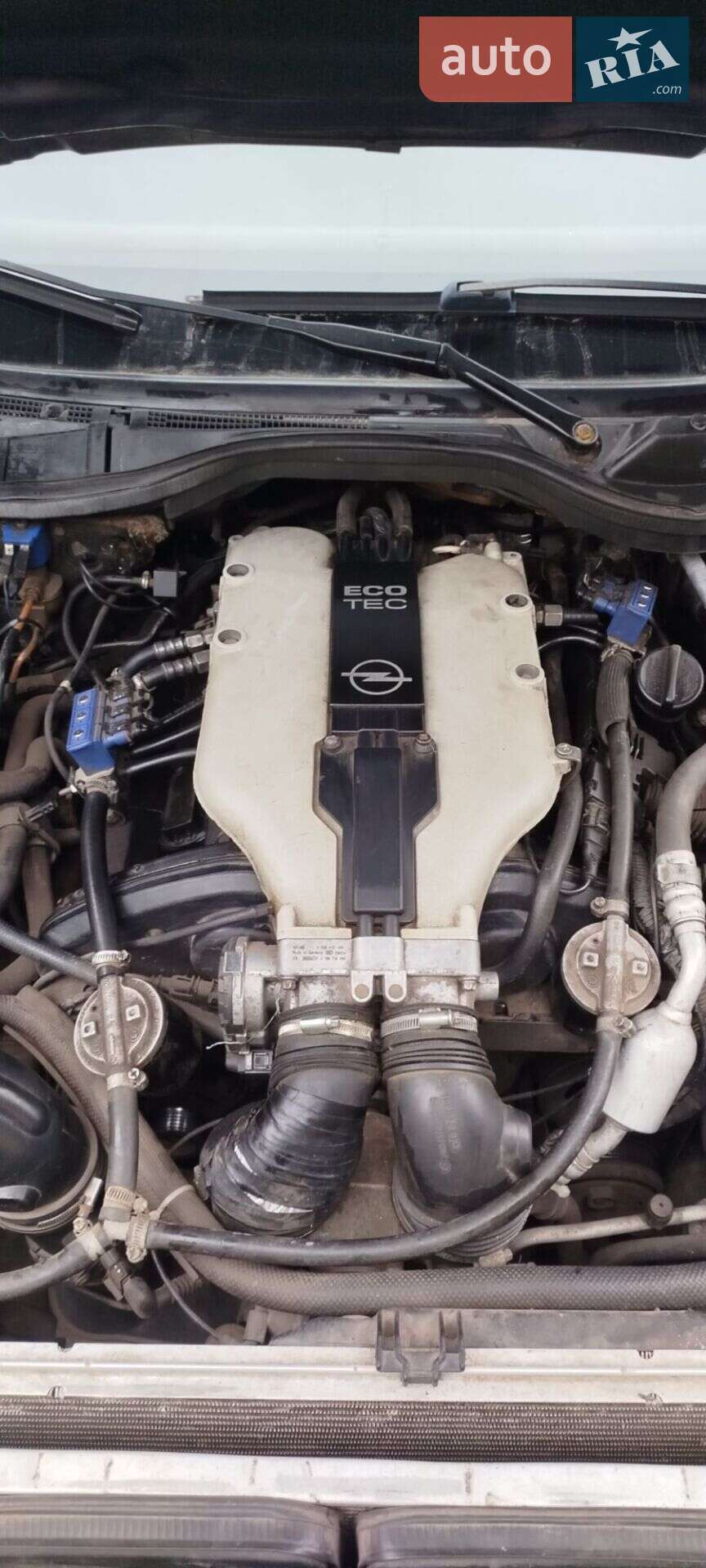Opel Omega 2000 VIN W0L0VBM6911073783 фото оголошення 20 з 21