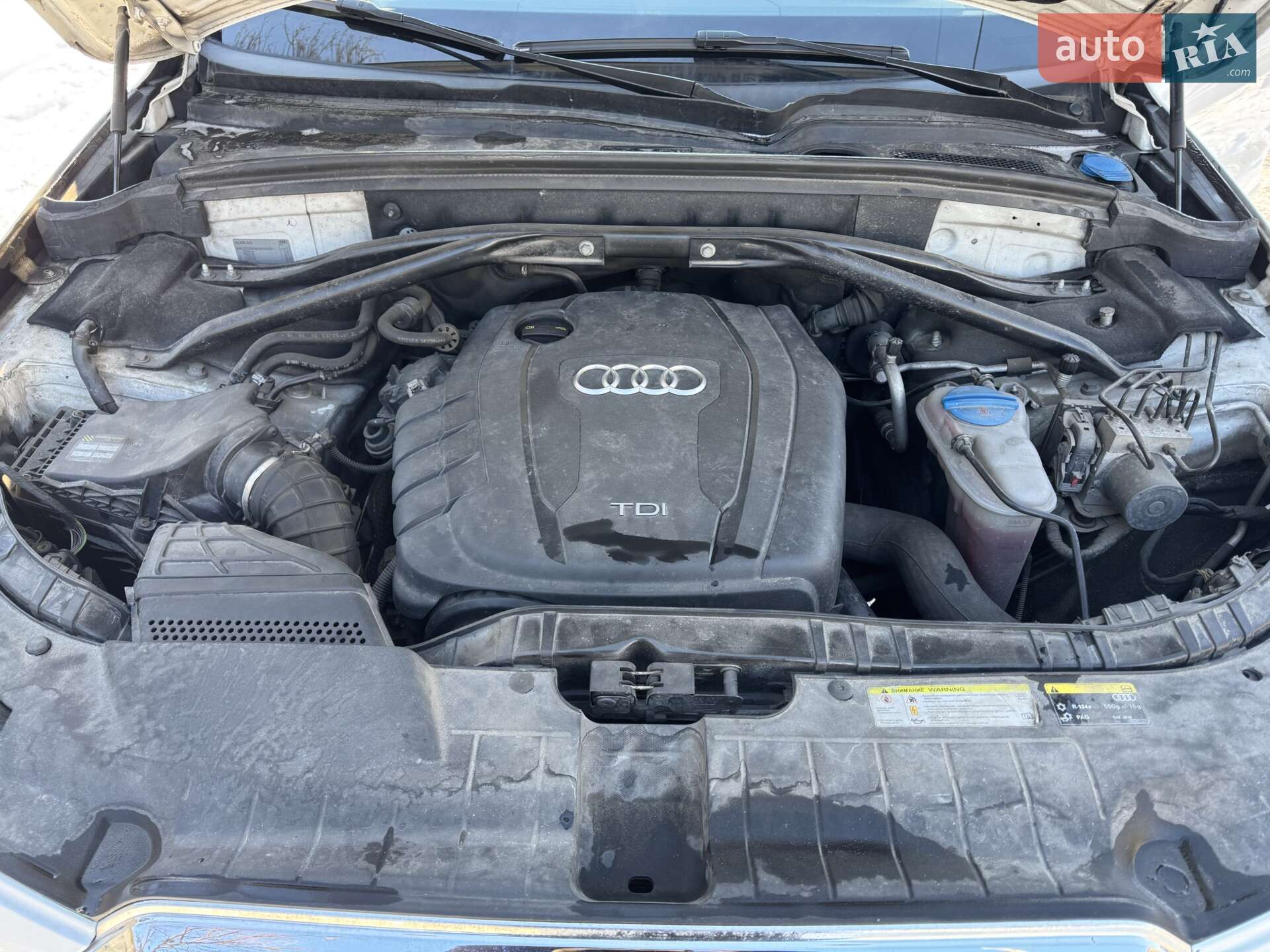 Audi Q5 2013 VIN WAUZZZ8R6EA059301 фото оголошення 33 з 41
