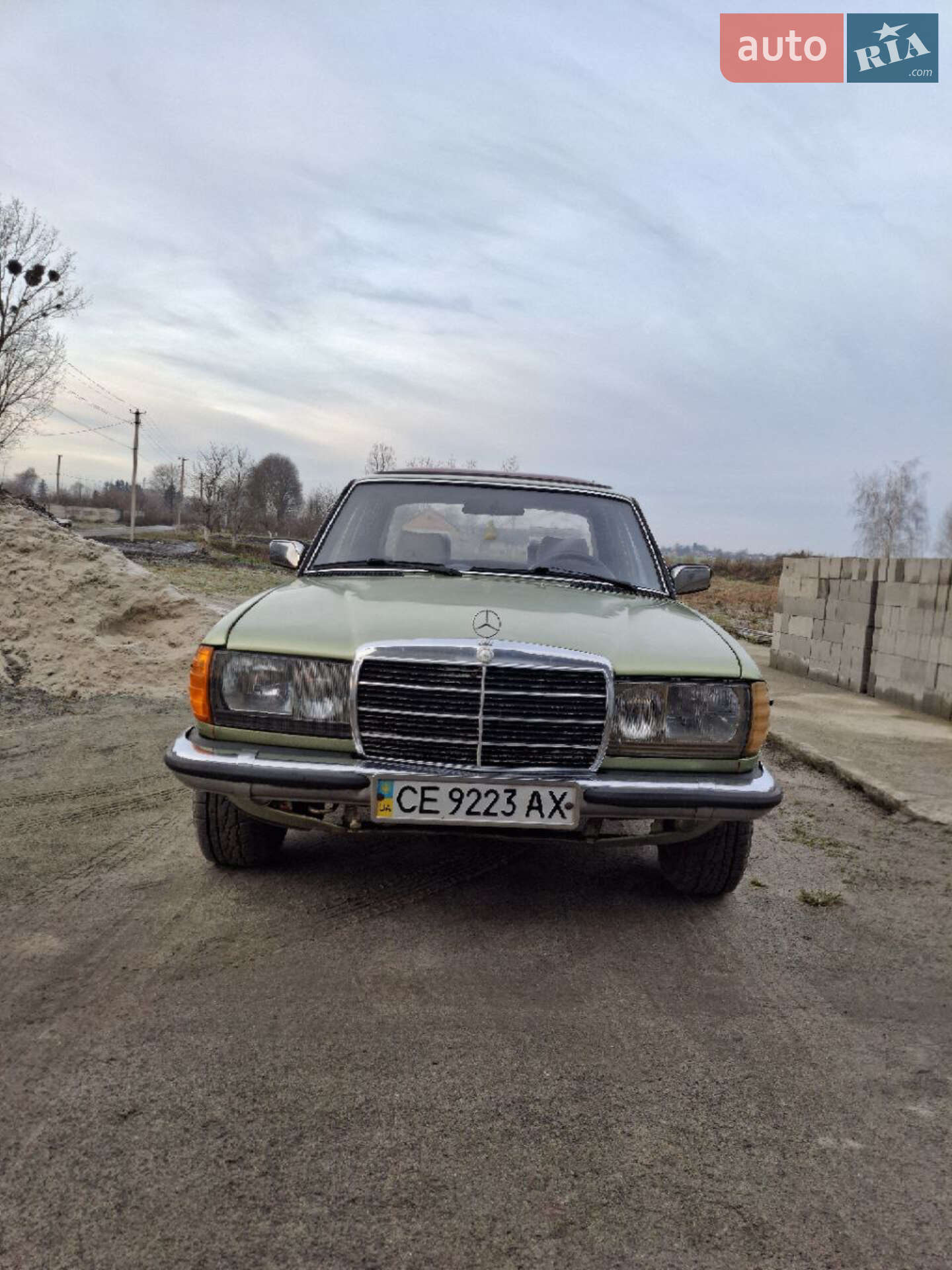 Mercedes-Benz E-Class 1982 VIN WDB12303310099235 фото оголошення 2 з 14
