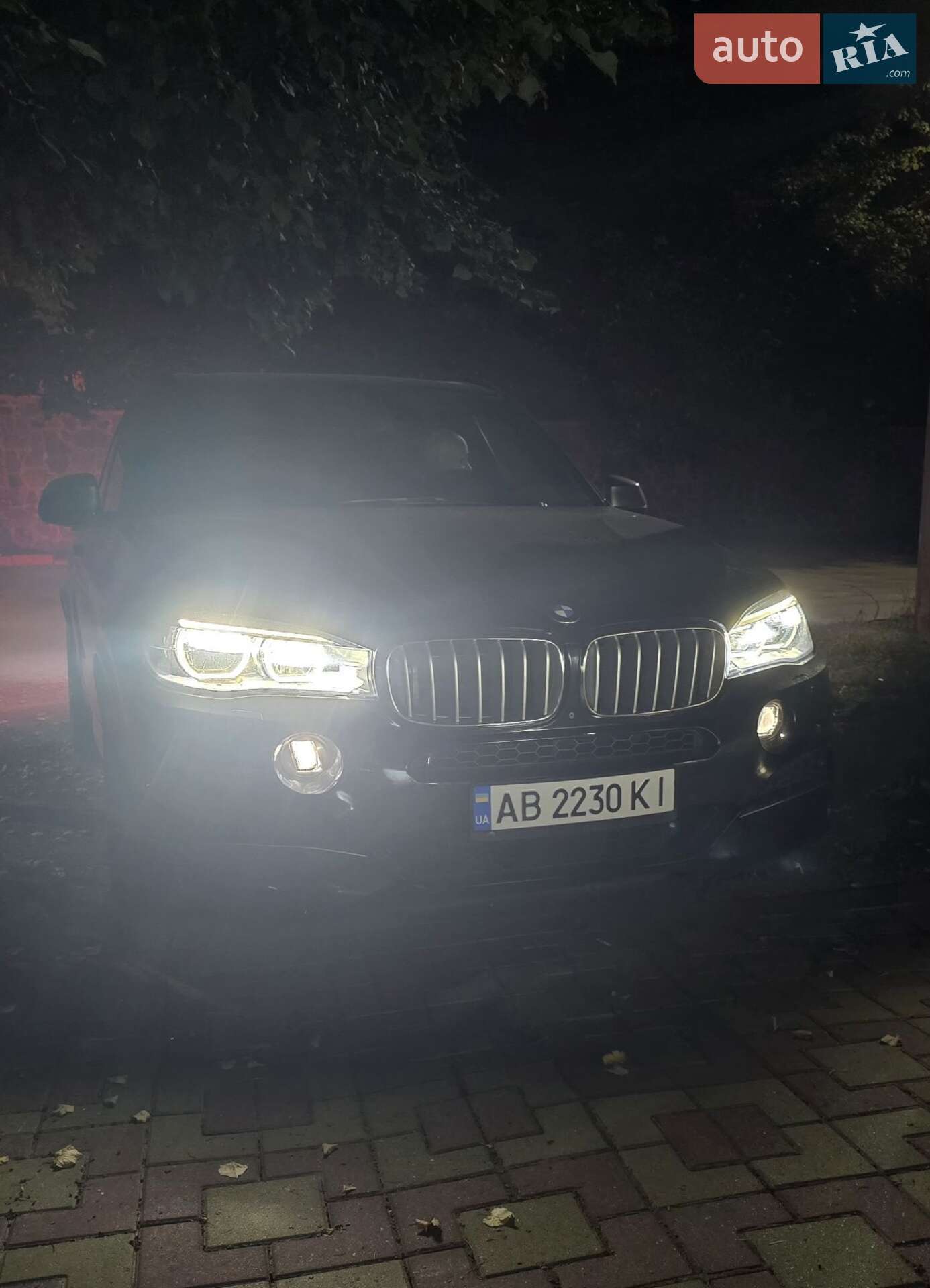 BMW X5 2015 VIN WBAKS810X00M50378 фото оголошення 66 з 70