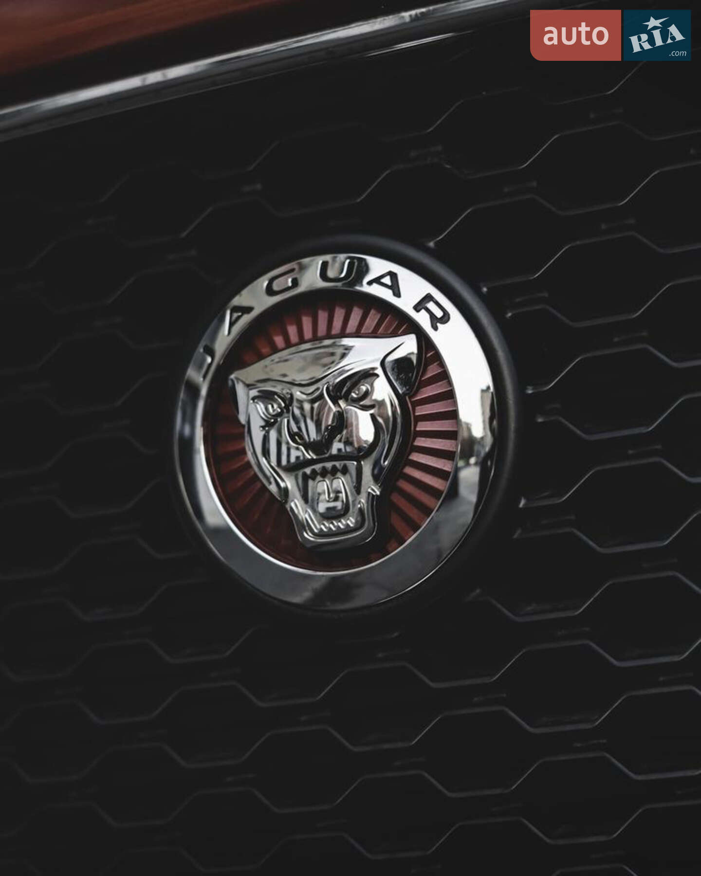 Jaguar F-Pace 2016 VIN SADCJ2BN8HA085484 фото оголошення 20 з 20