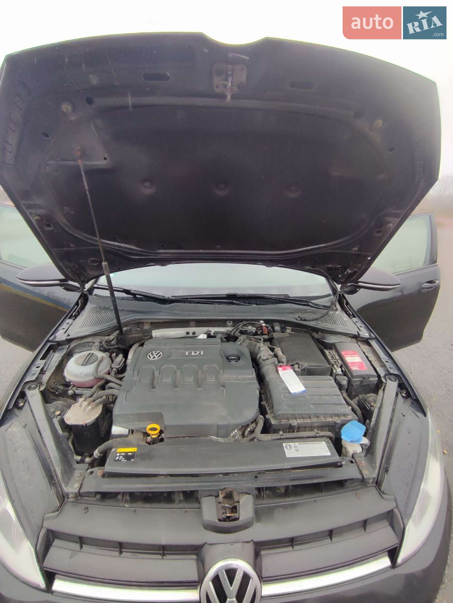 Volkswagen Golf 2015 VIN WVWZZZAUZFP608594 фото оголошення 23 з 43