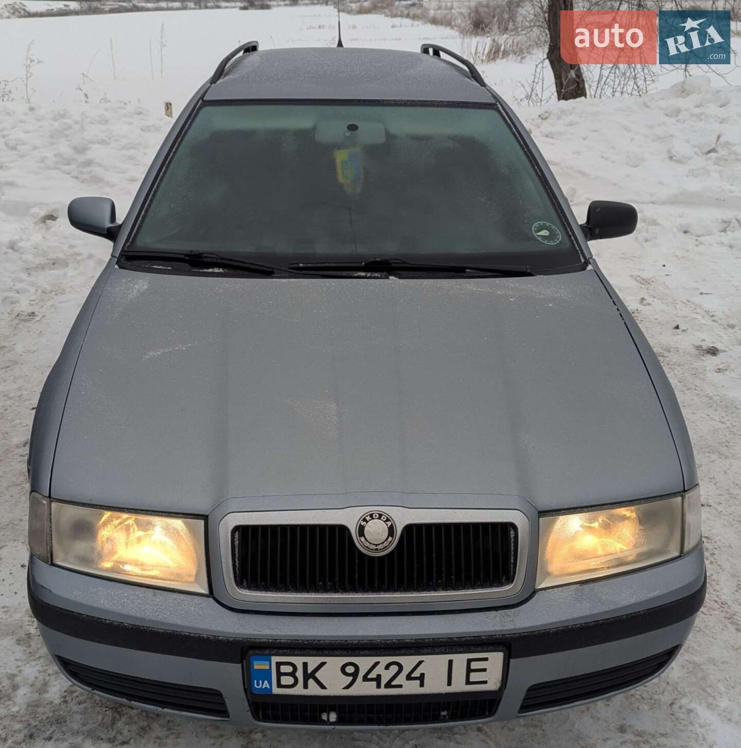 Skoda Octavia 2004 VIN TMBHX21U542934466 фото оголошення 3 з 5