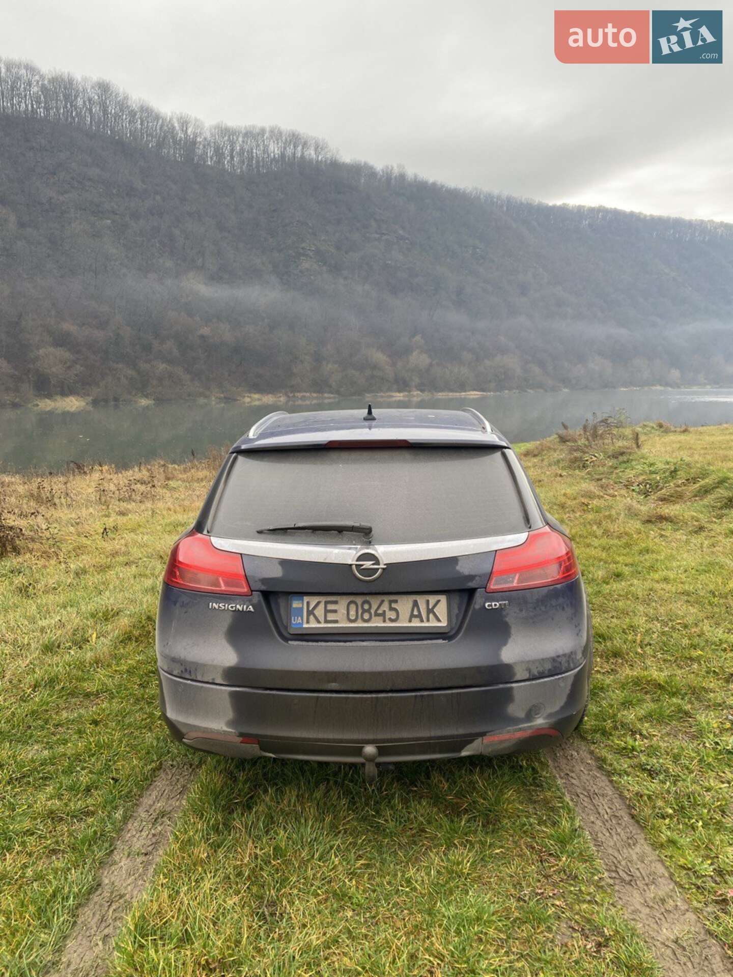 Opel Insignia 2009 VIN W0LGM87M991048483 фото оголошення 3 з 6