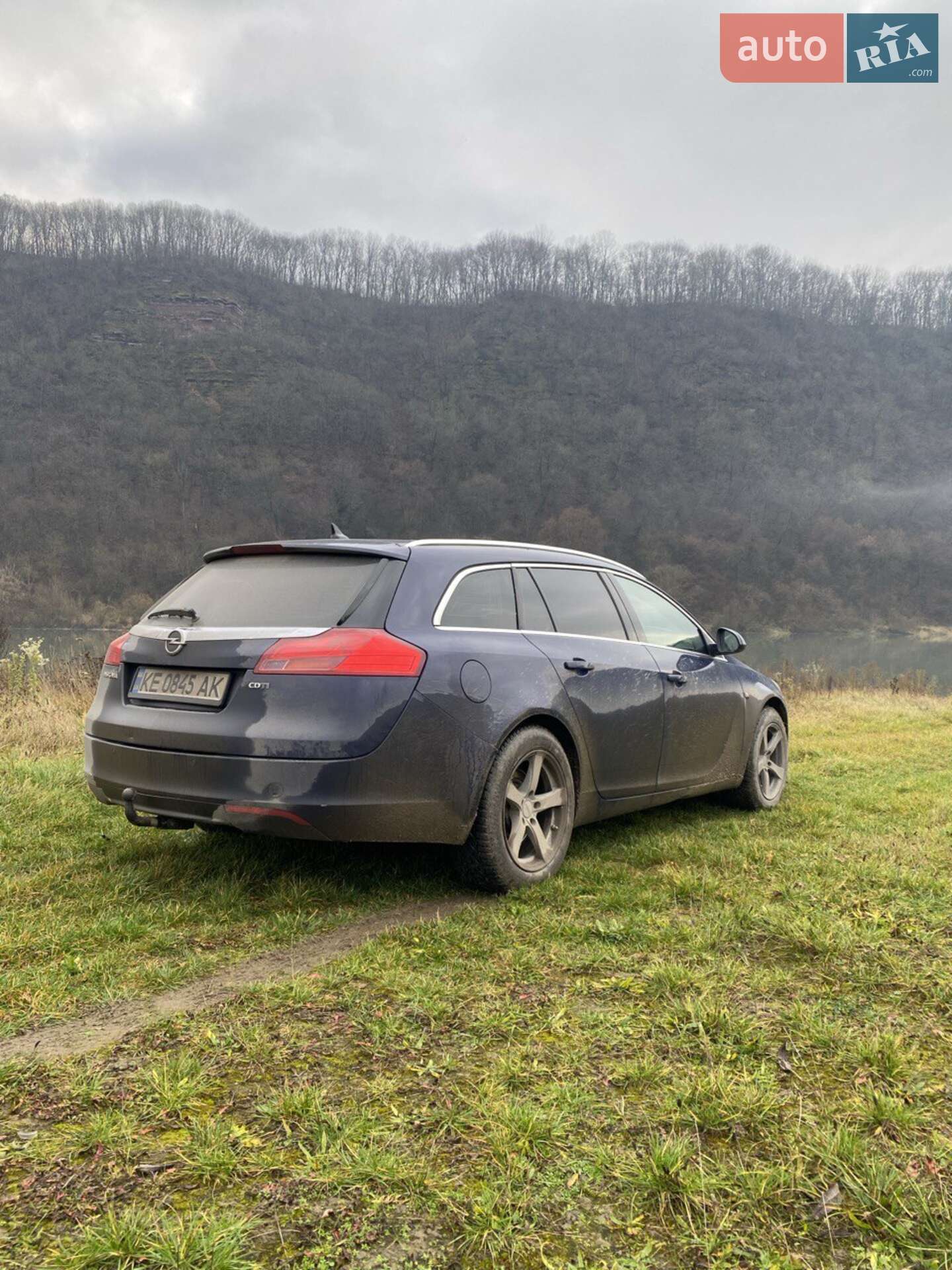 Opel Insignia 2009 VIN W0LGM87M991048483 фото оголошення 4 з 6