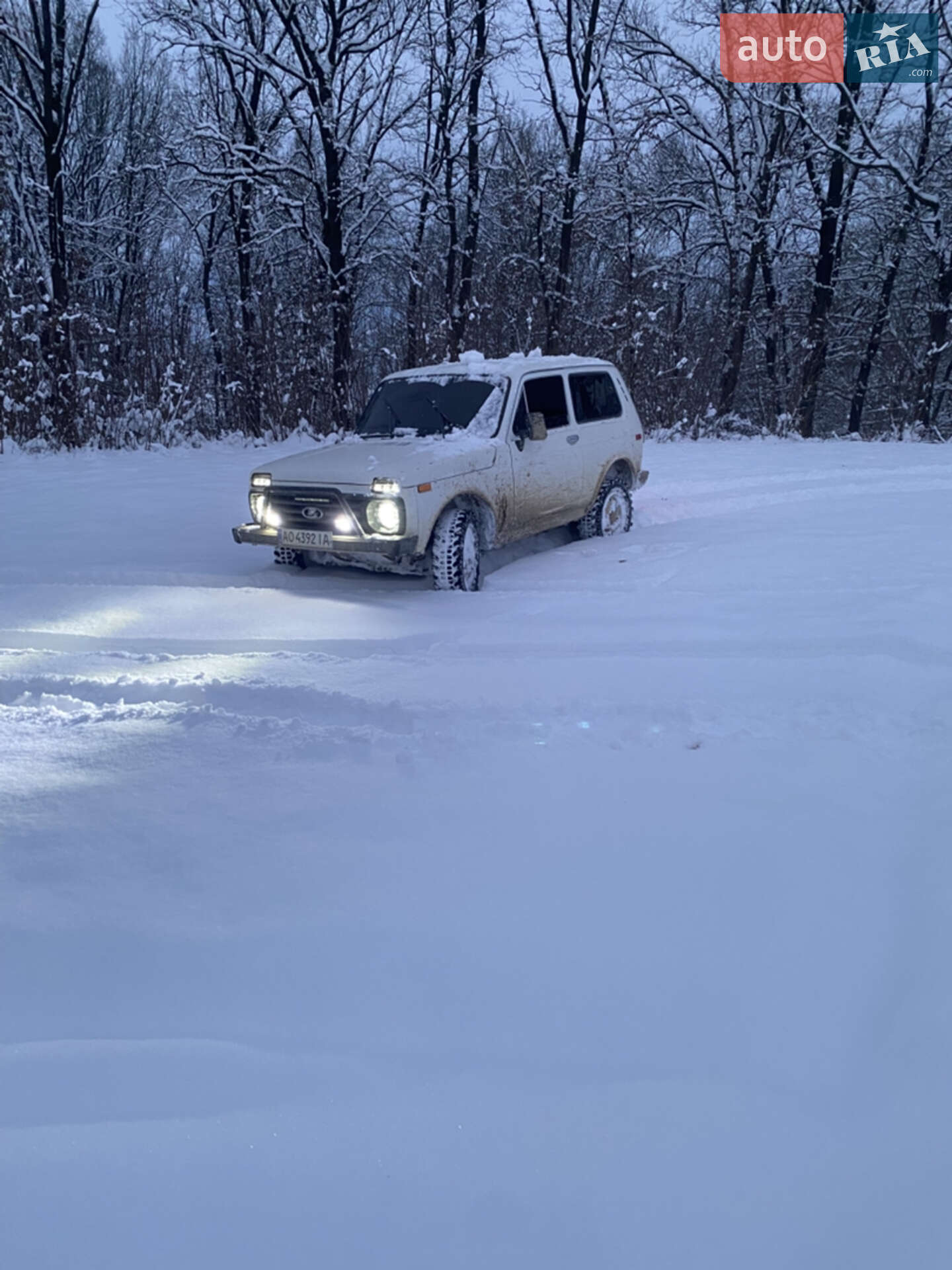 Ваз 2121 1988 VIN XTA212100K0674982 фото оголошення 17 з 19