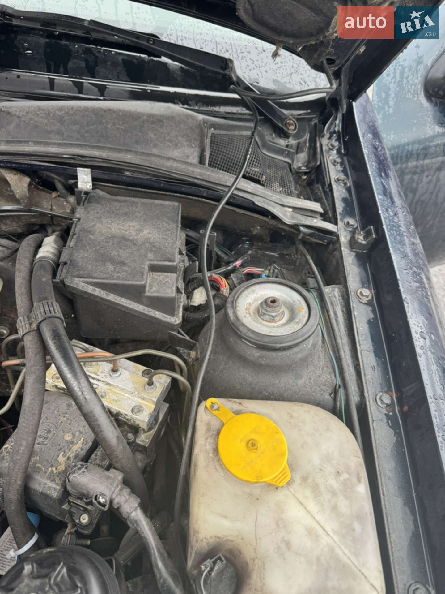 Opel Vectra 1995 VIN W0L000039H2540316 фото оголошення 19 з 22