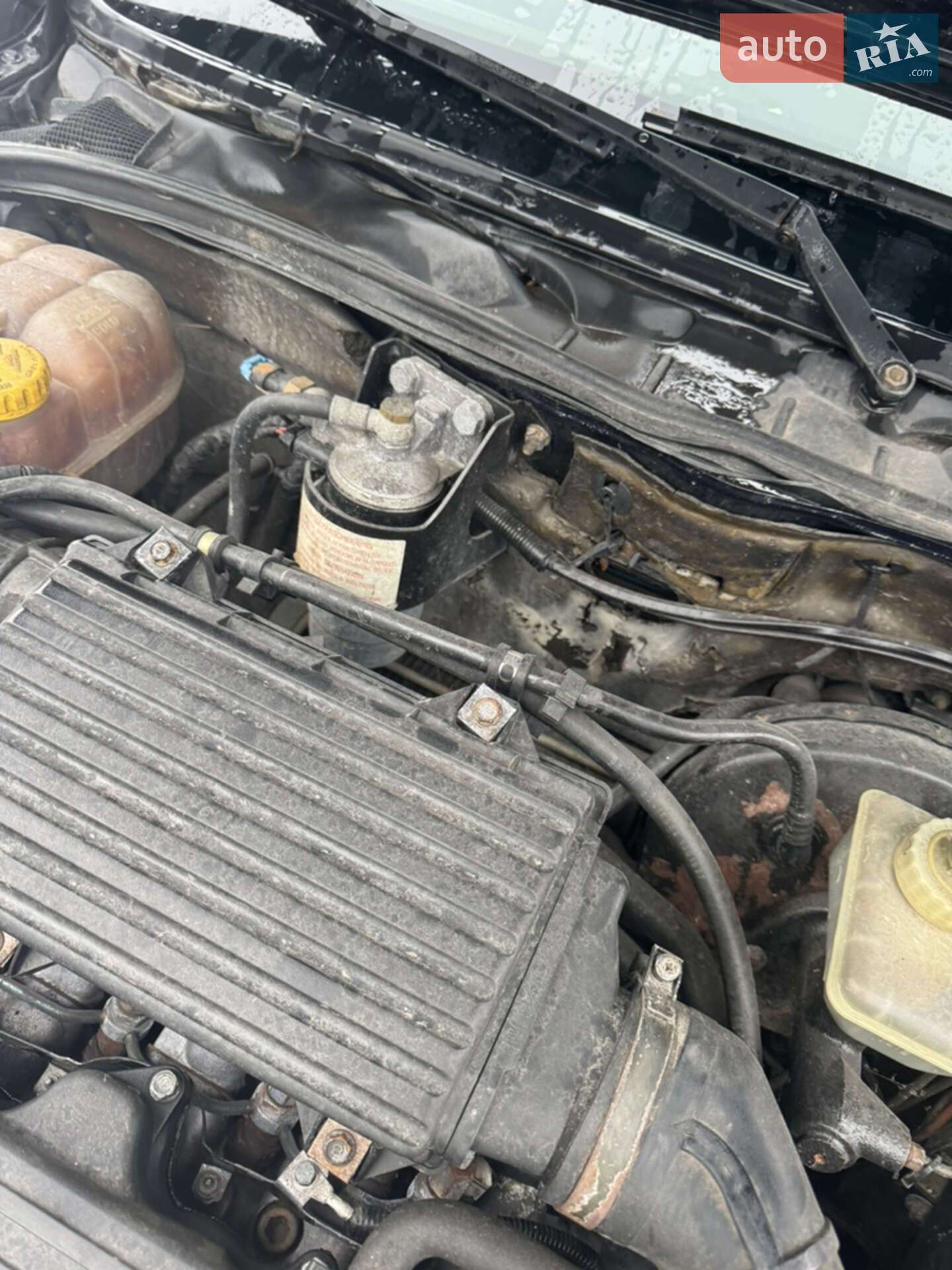 Opel Vectra 1995 VIN W0L000039H2540316 фото оголошення 21 з 22
