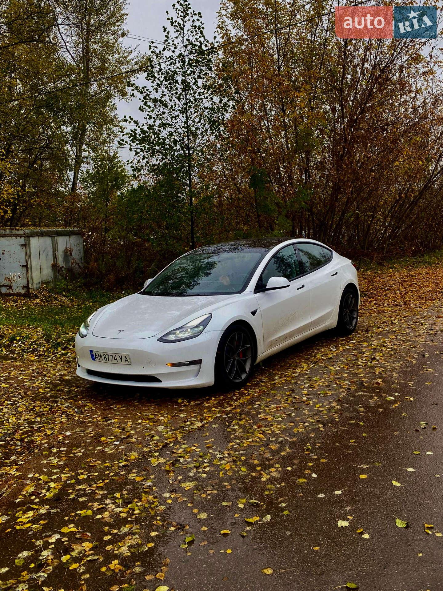 Tesla Model 3 2023 VIN 5YJ3E1EC3PF675246 фото оголошення 3 з 3