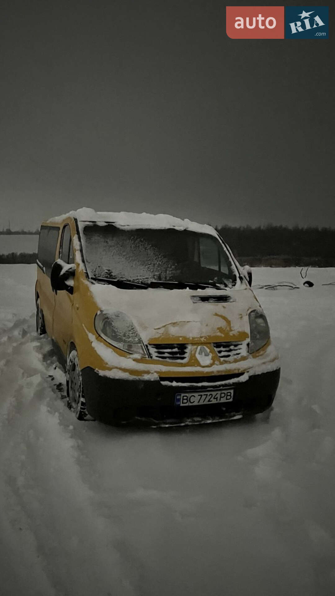 Renault Trafic 2008 VIN VF1FLBHB68Y305484 фото оголошення 12 з 12