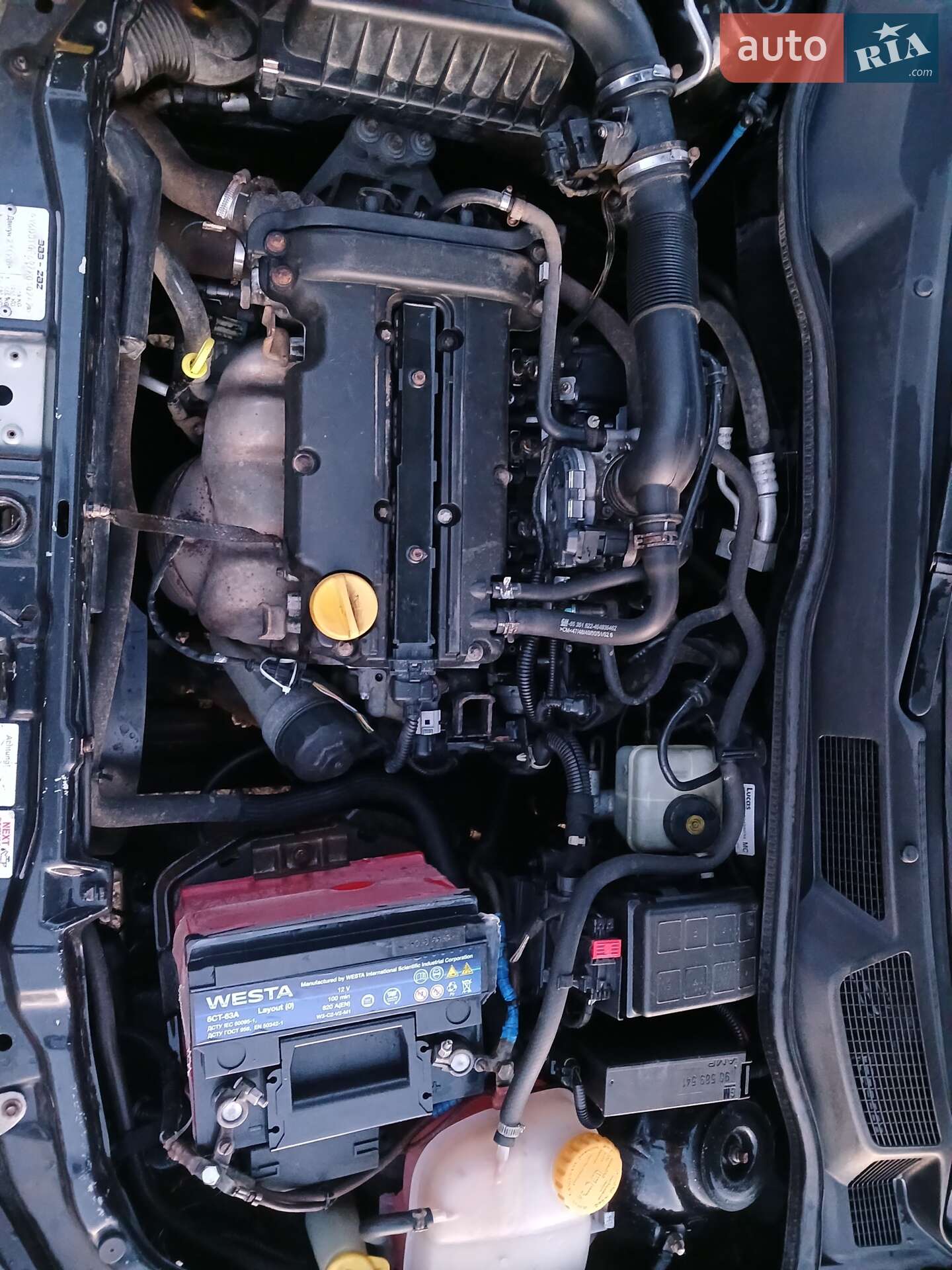 Opel Astra 2007 VIN Y6D0TGF697X010242 фото оголошення 7 з 7