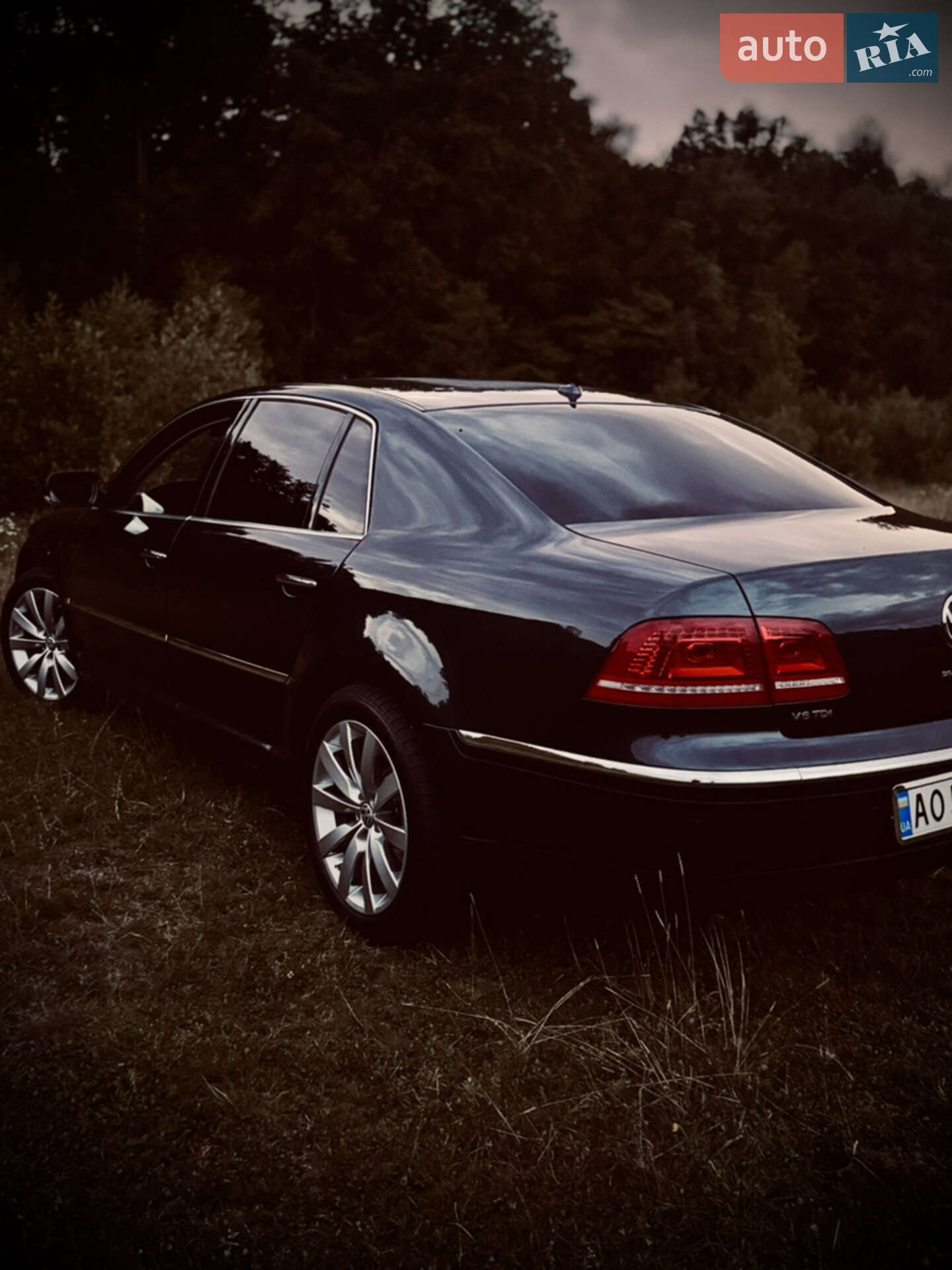 Volkswagen Phaeton 2010 VIN WVWZZZ3DZB8004226 фото оголошення 12 з 12